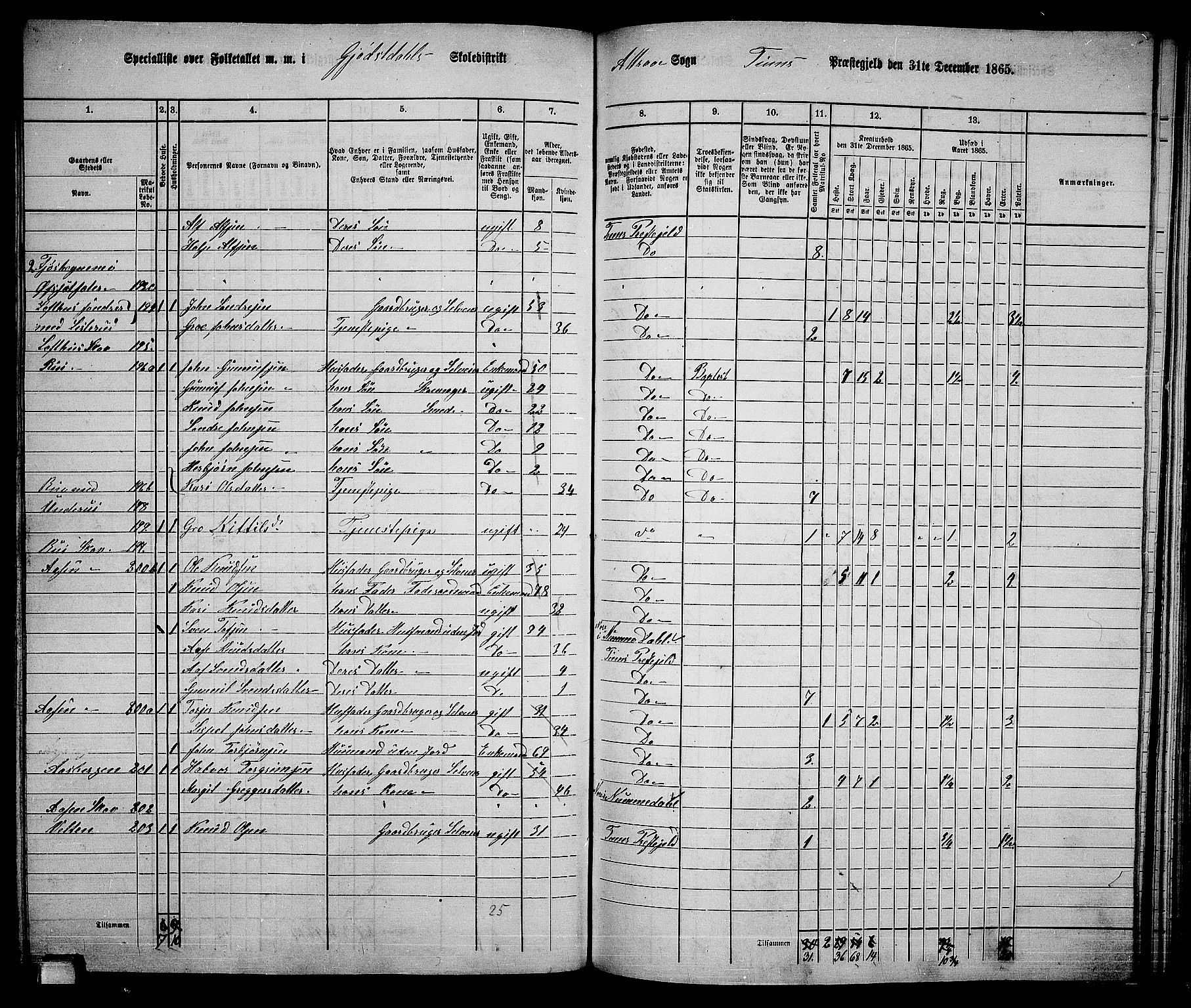 RA, 1865 census for Tinn, 1865, p. 53