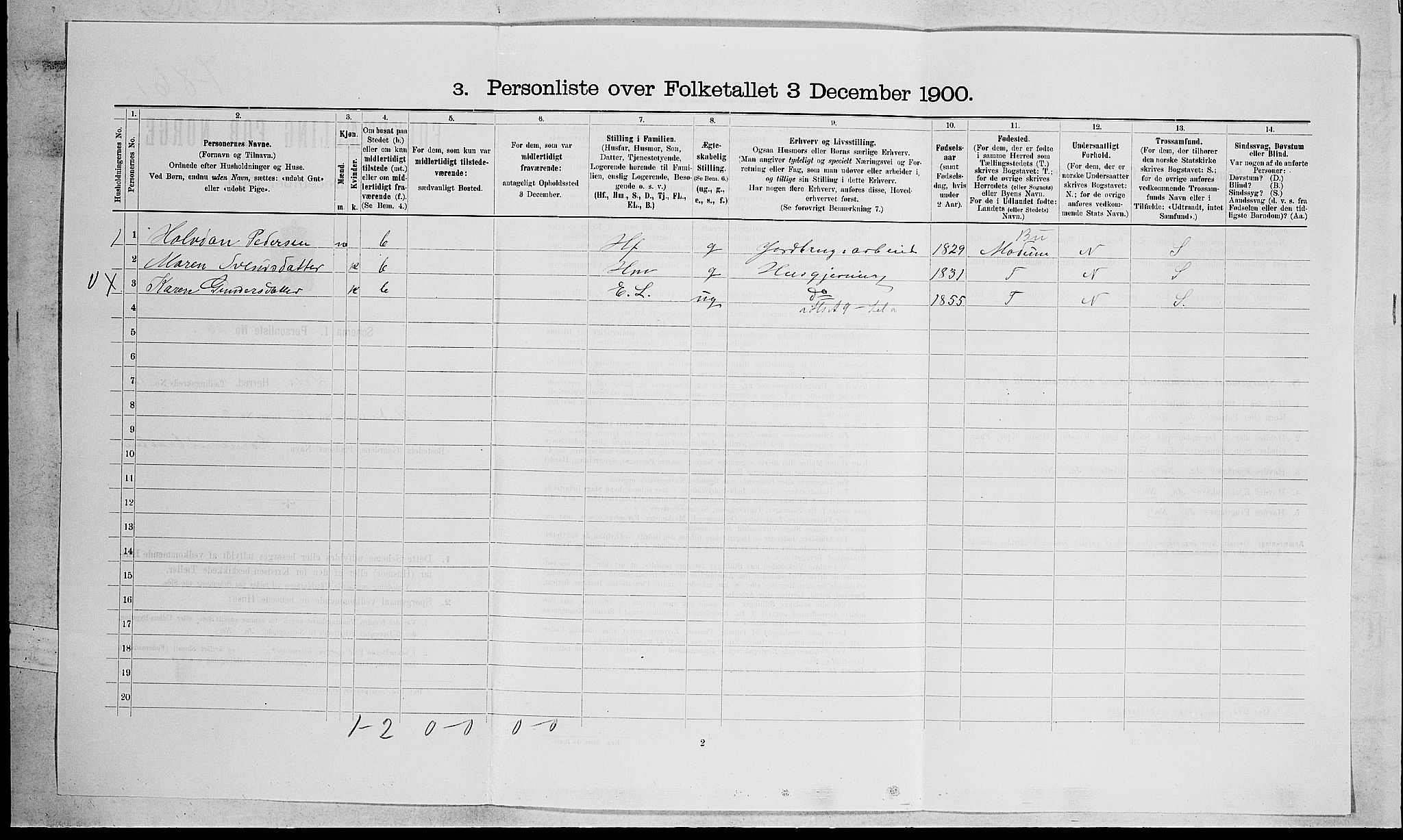 RA, 1900 census for Lier, 1900, p. 2069