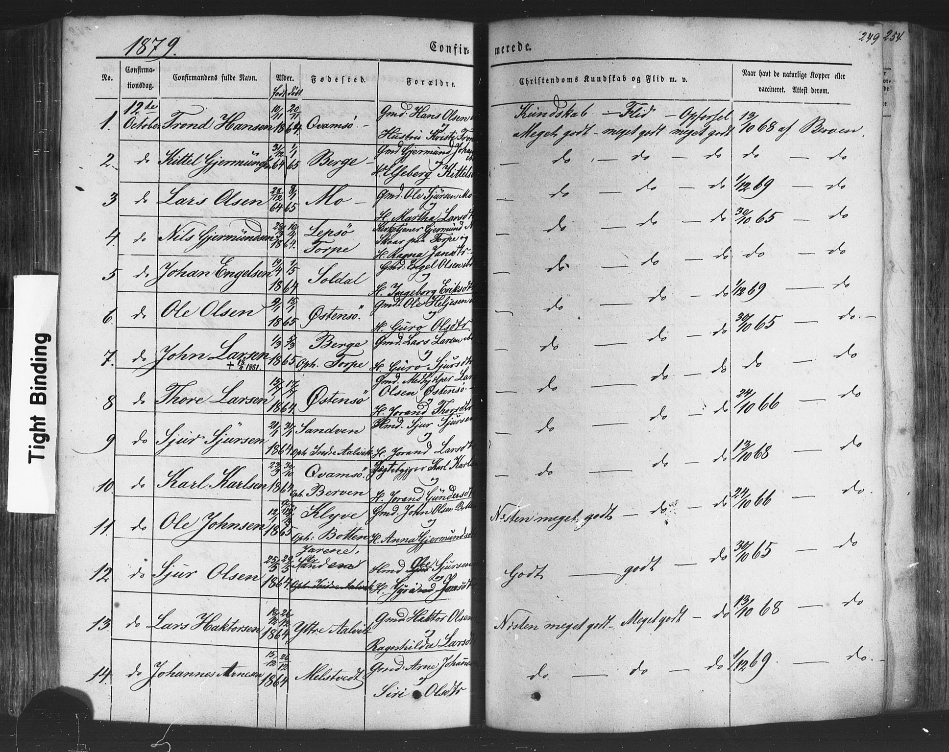 Kvam sokneprestembete, SAB/A-76201/H/Haa: Parish register (official) no. A 9, 1864-1879, p. 249
