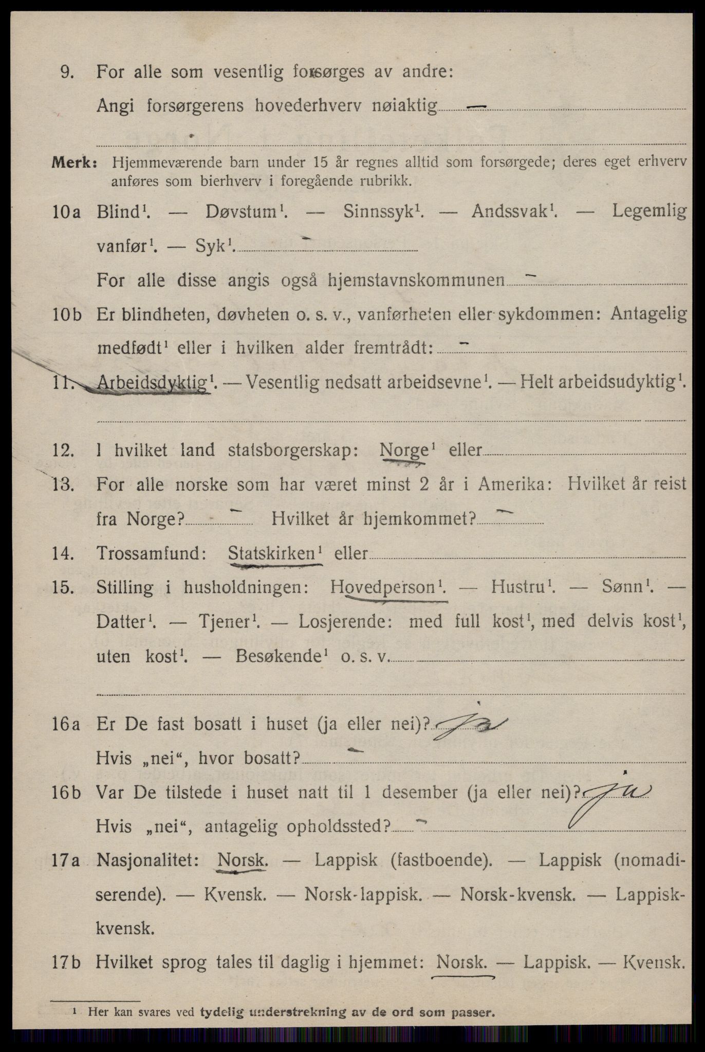 SAT, 1920 census for Nes (ST), 1920, p. 1490