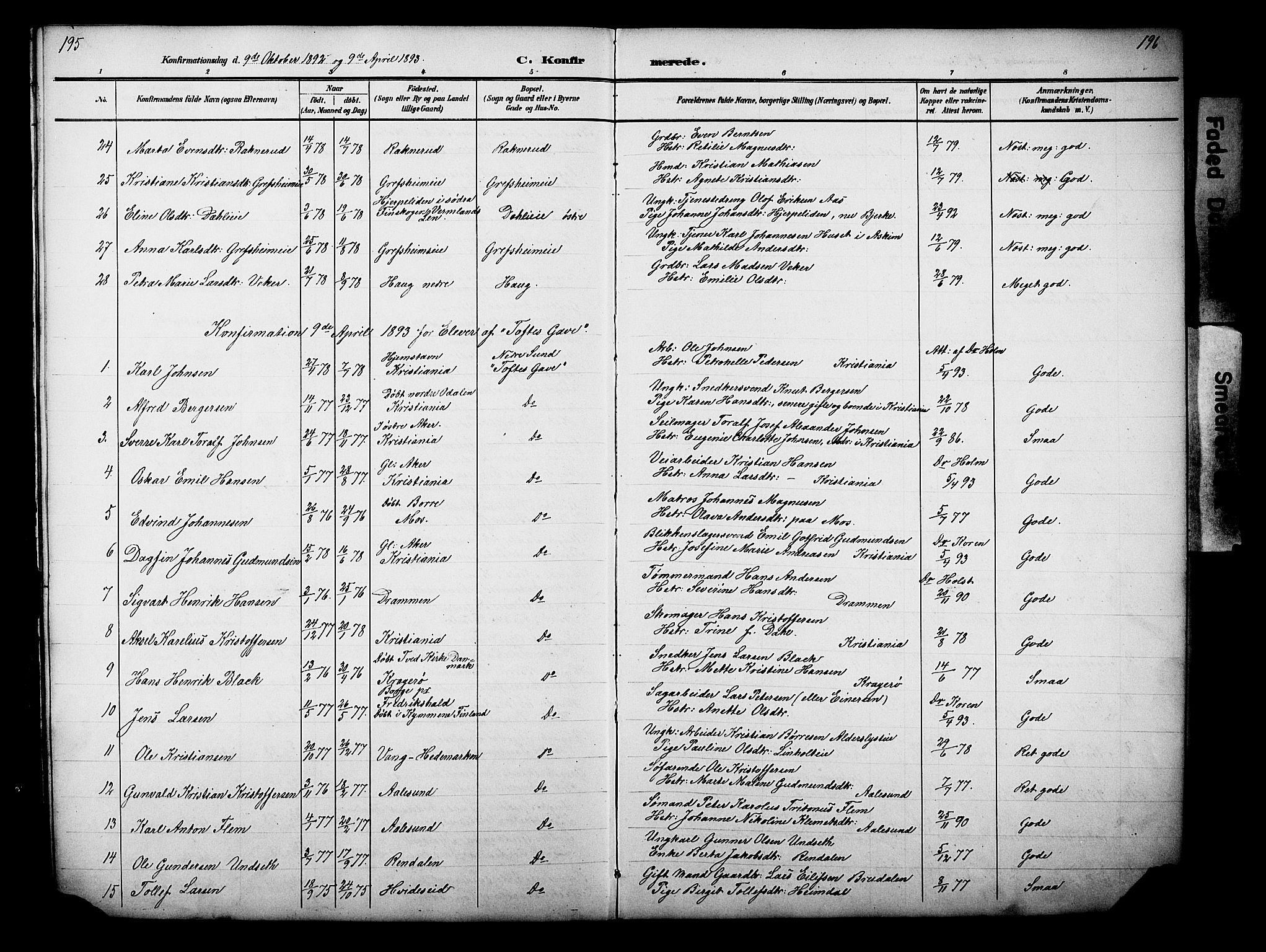 Nes prestekontor, Hedmark, AV/SAH-PREST-020/L/La/L0006: Parish register (copy) no. 6, 1890-1932, p. 195-196