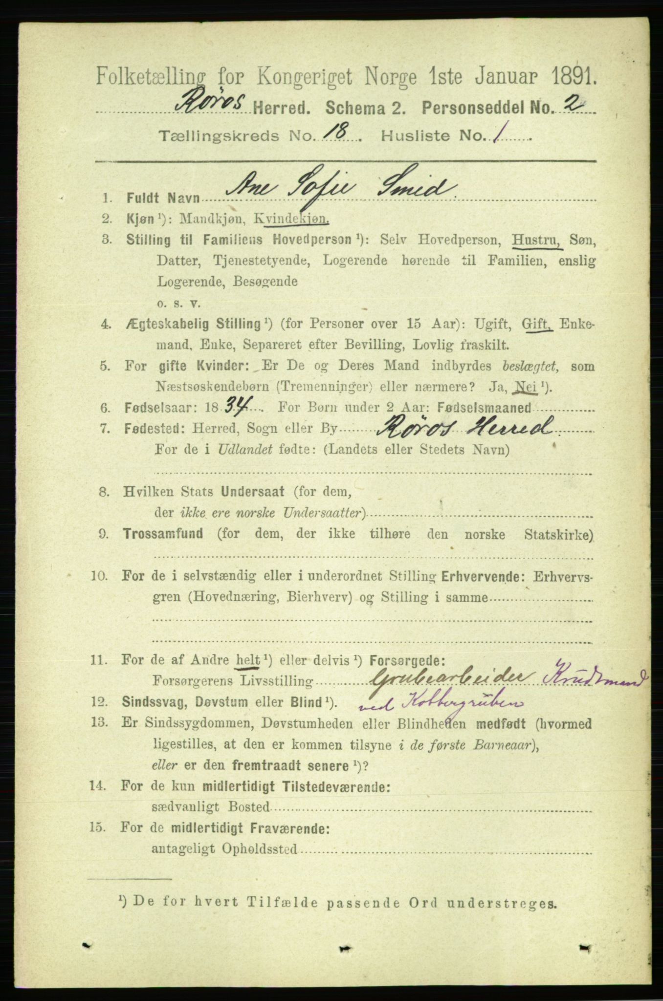 RA, 1891 census for 1640 Røros, 1891, p. 4854