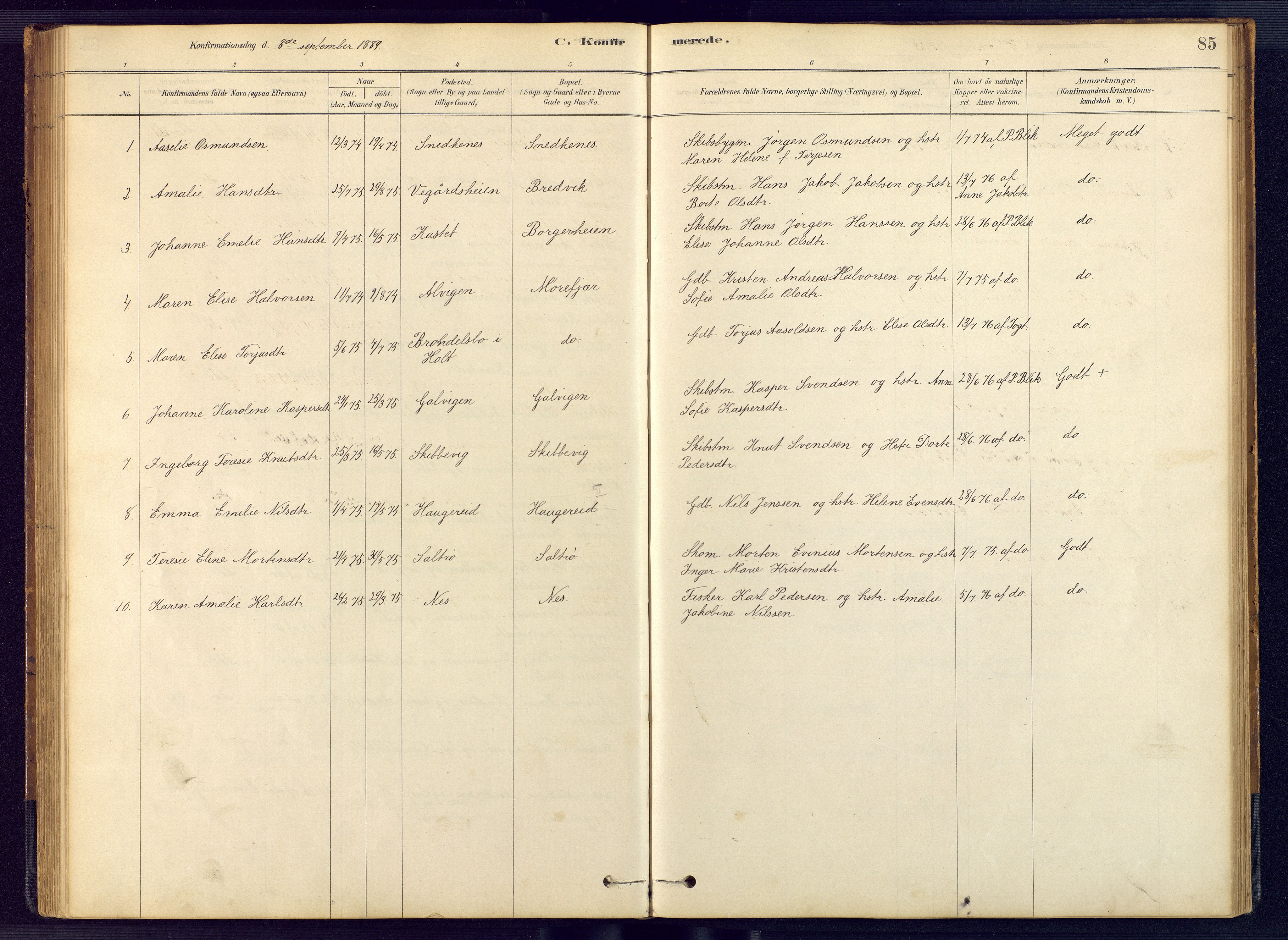 Austre Moland sokneprestkontor, AV/SAK-1111-0001/F/Fb/Fbb/L0001: Parish register (copy) no. B 1, 1878-1904, p. 85