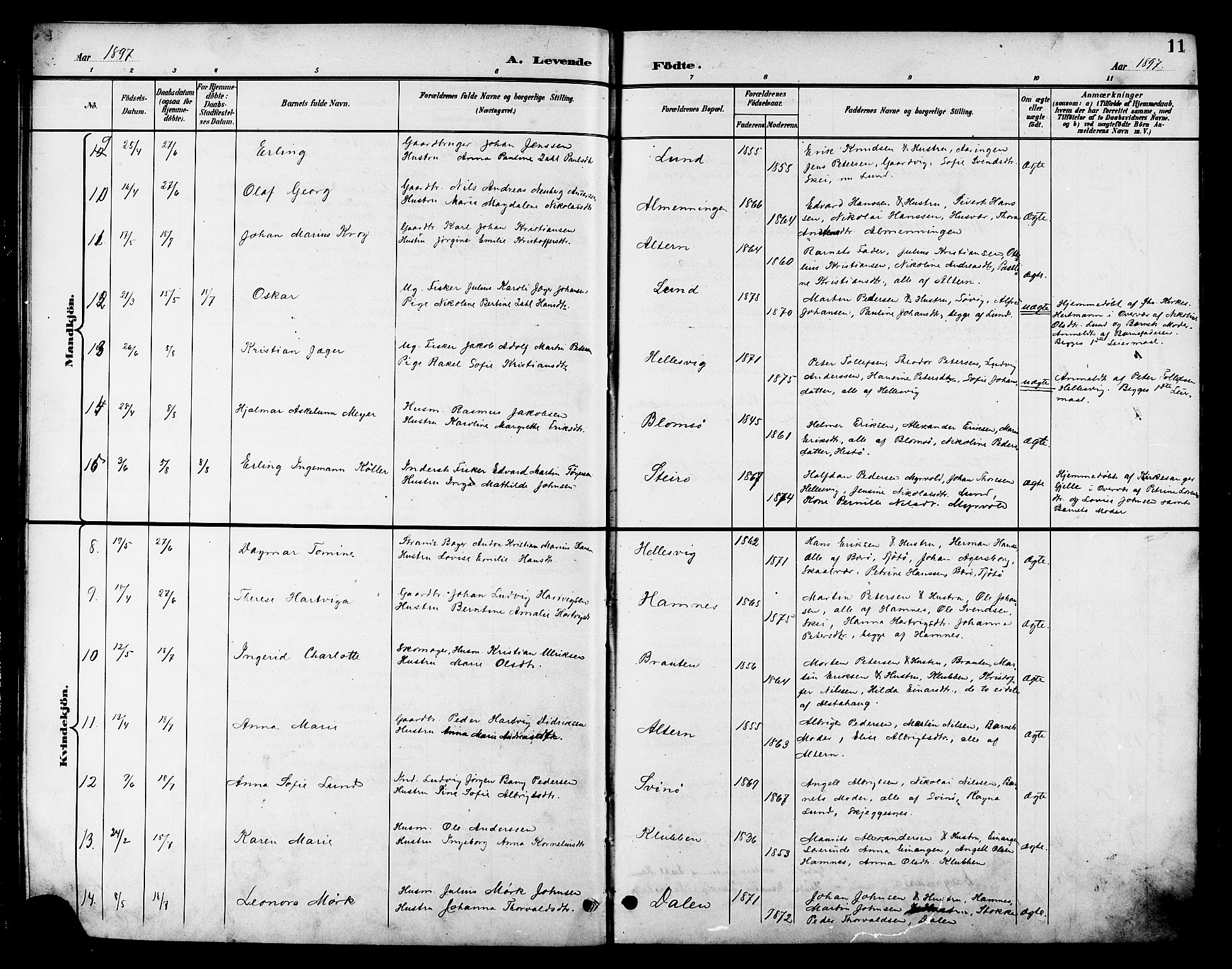 Ministerialprotokoller, klokkerbøker og fødselsregistre - Nordland, AV/SAT-A-1459/830/L0463: Parish register (copy) no. 830C05, 1895-1906, p. 11