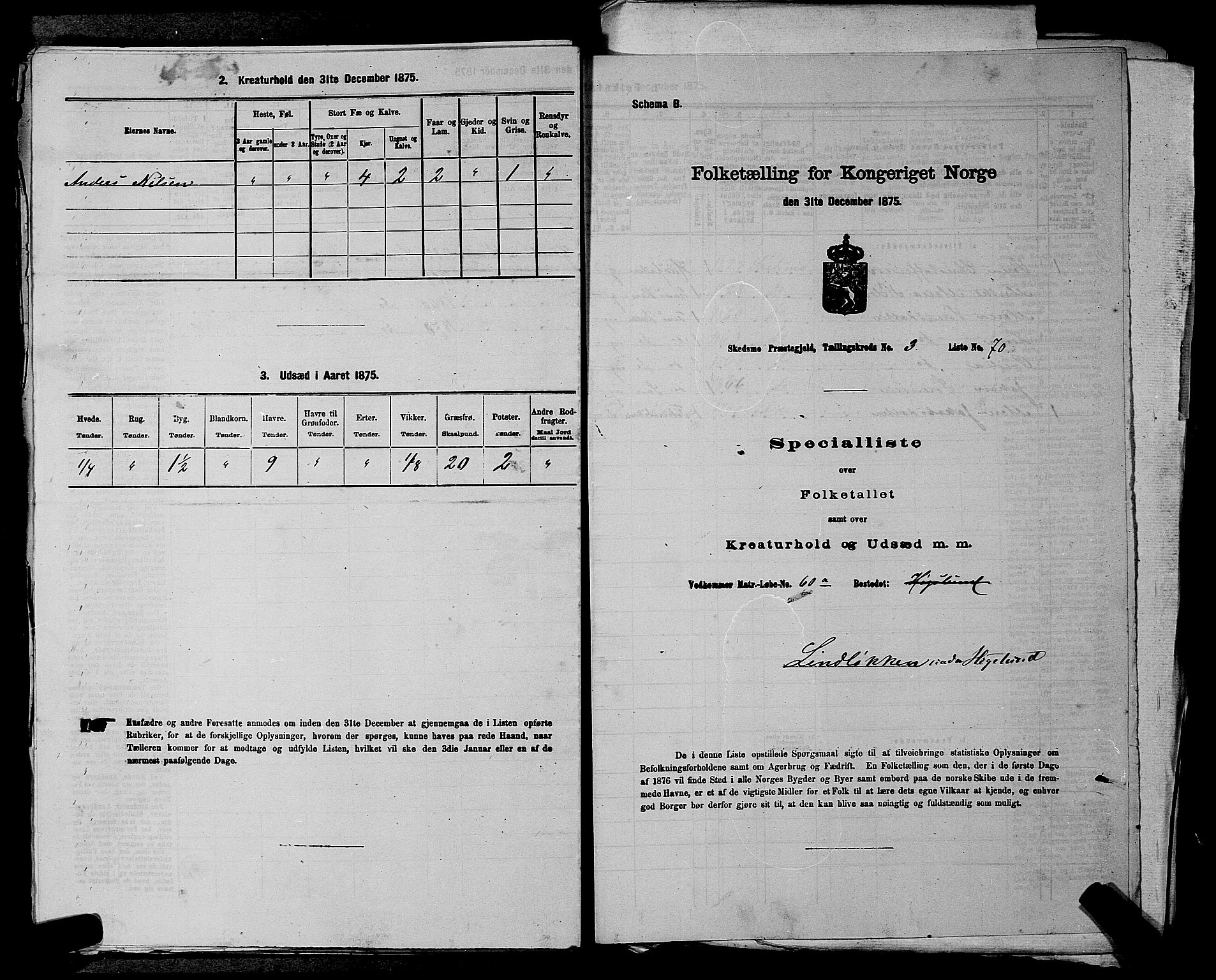 RA, 1875 census for 0231P Skedsmo, 1875, p. 506