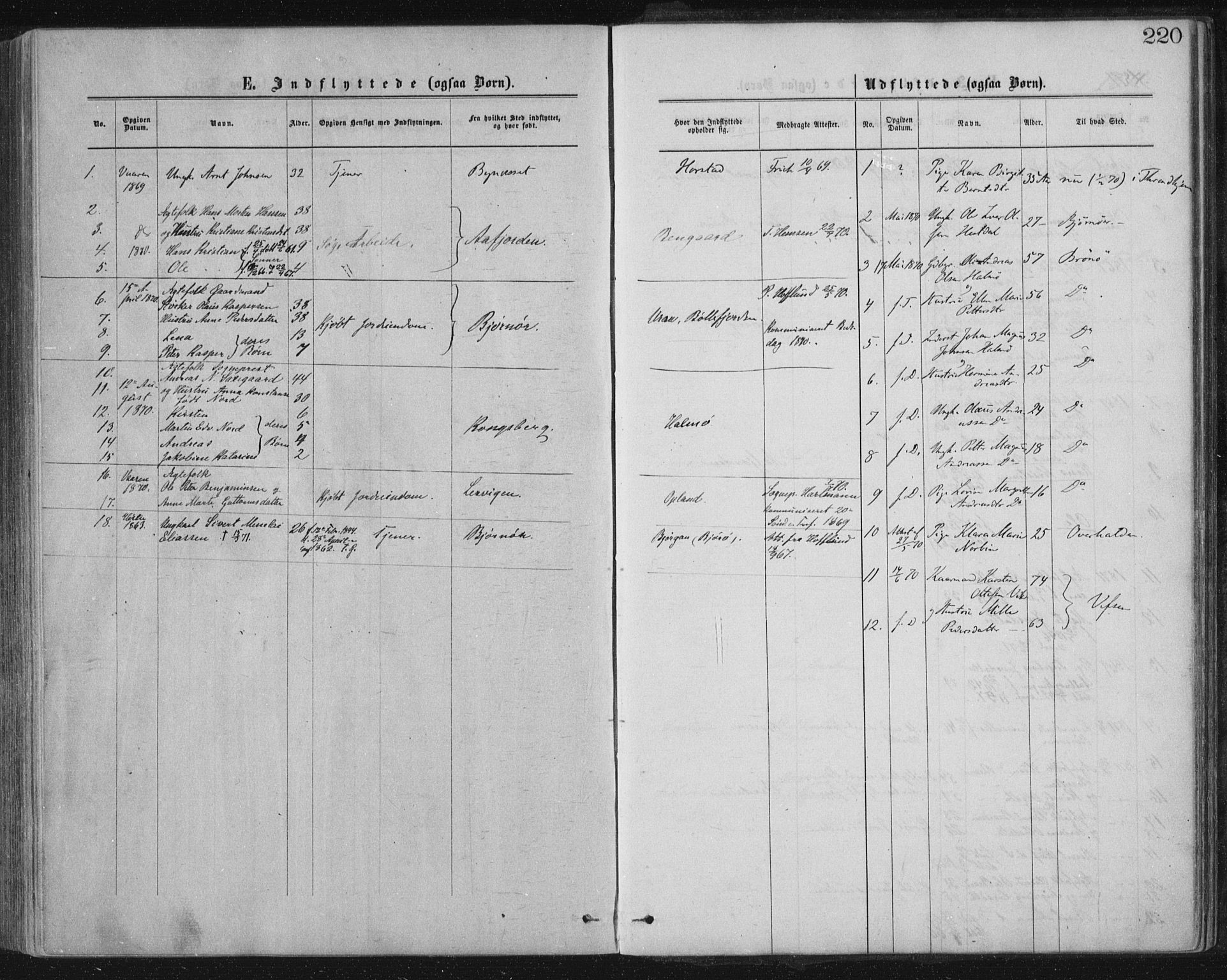 Ministerialprotokoller, klokkerbøker og fødselsregistre - Nord-Trøndelag, AV/SAT-A-1458/771/L0596: Parish register (official) no. 771A03, 1870-1884, p. 220