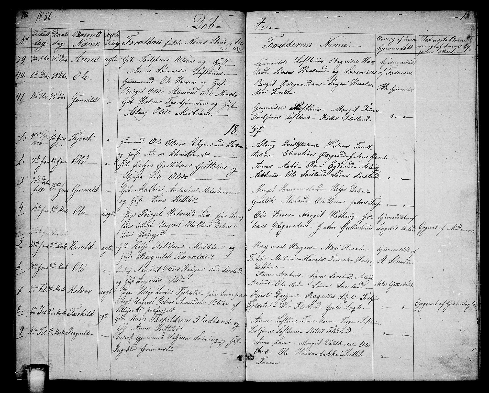 Hjartdal kirkebøker, SAKO/A-270/G/Ga/L0002: Parish register (copy) no. I 2, 1854-1888, p. 12-13