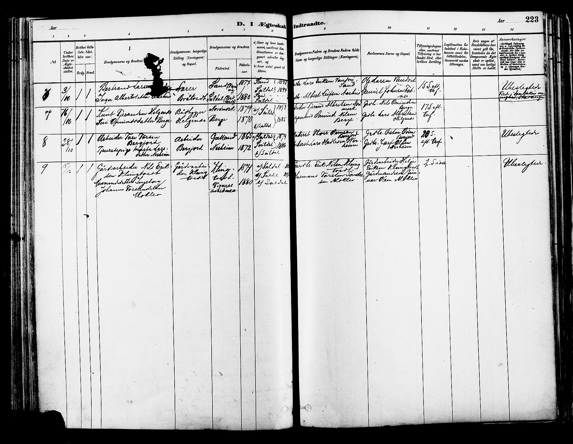 Suldal sokneprestkontor, AV/SAST-A-101845/01/IV/L0011: Parish register (official) no. A 11, 1878-1900, p. 223