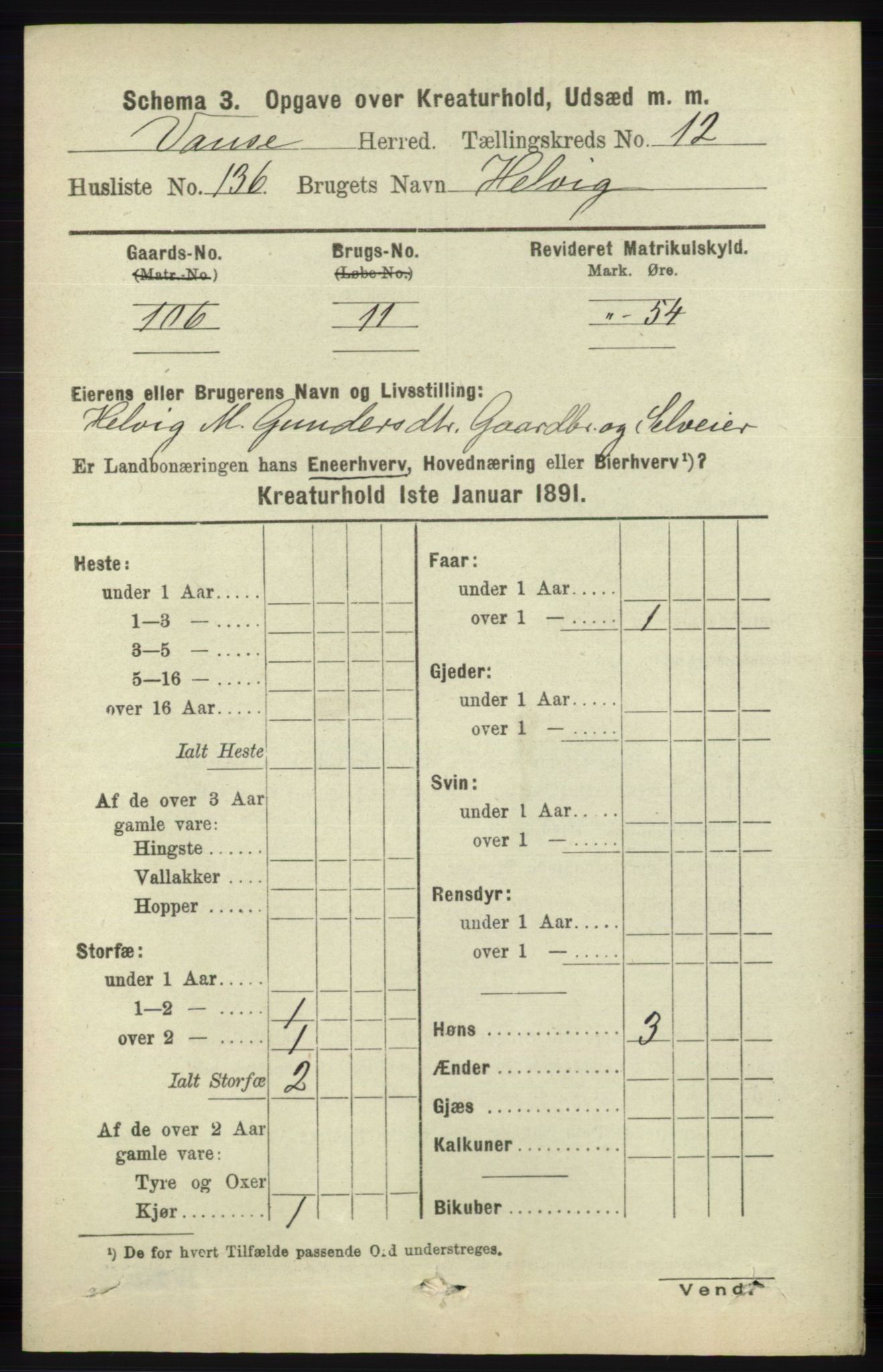 RA, 1891 census for 1041 Vanse, 1891, p. 10365