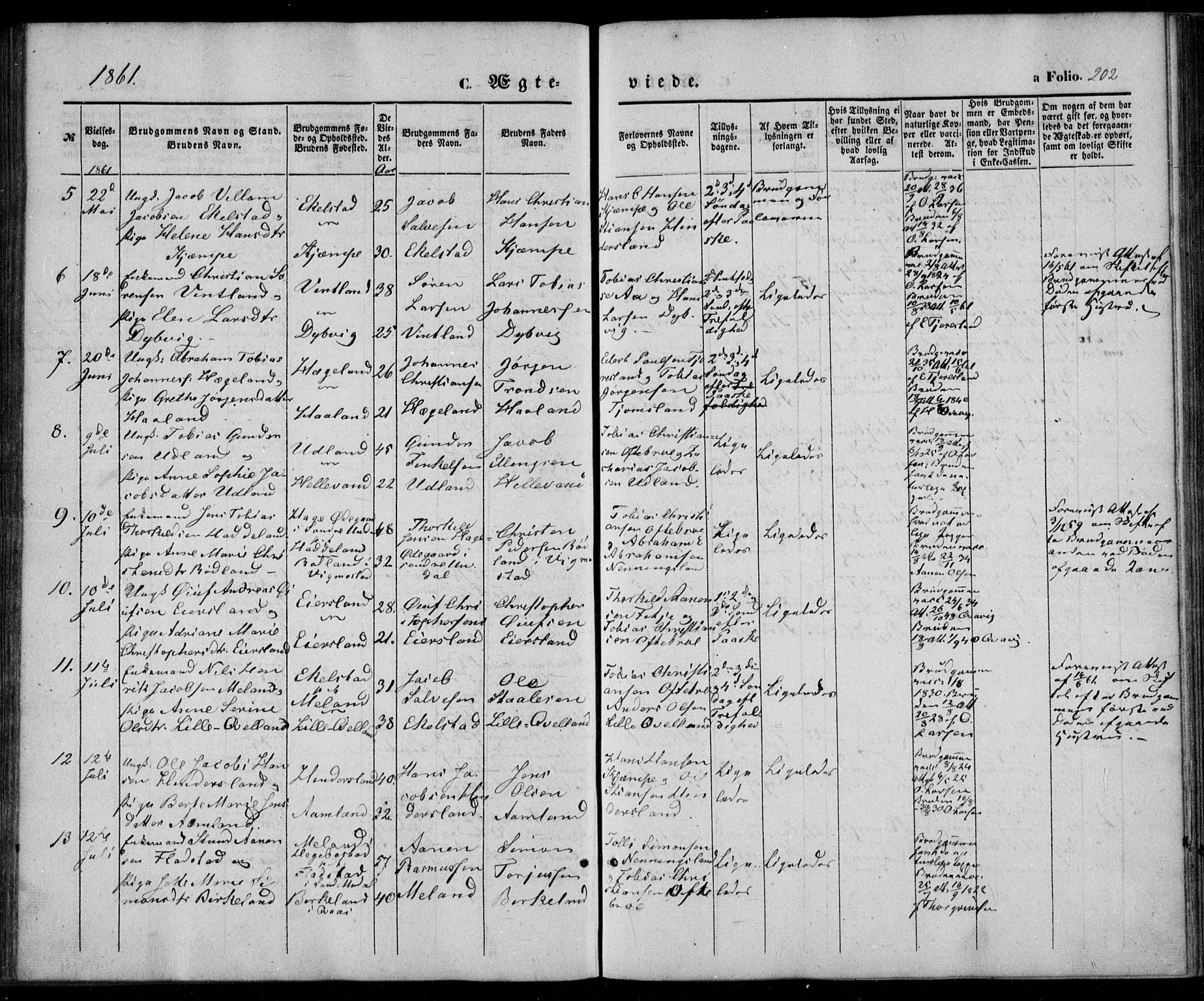 Lyngdal sokneprestkontor, AV/SAK-1111-0029/F/Fa/Fac/L0009: Parish register (official) no. A 9, 1852-1864, p. 202