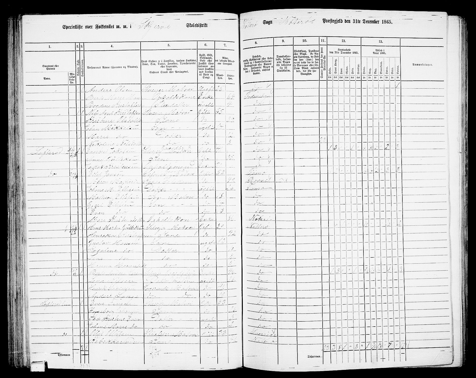 RA, 1865 census for Nøtterøy, 1865, p. 132