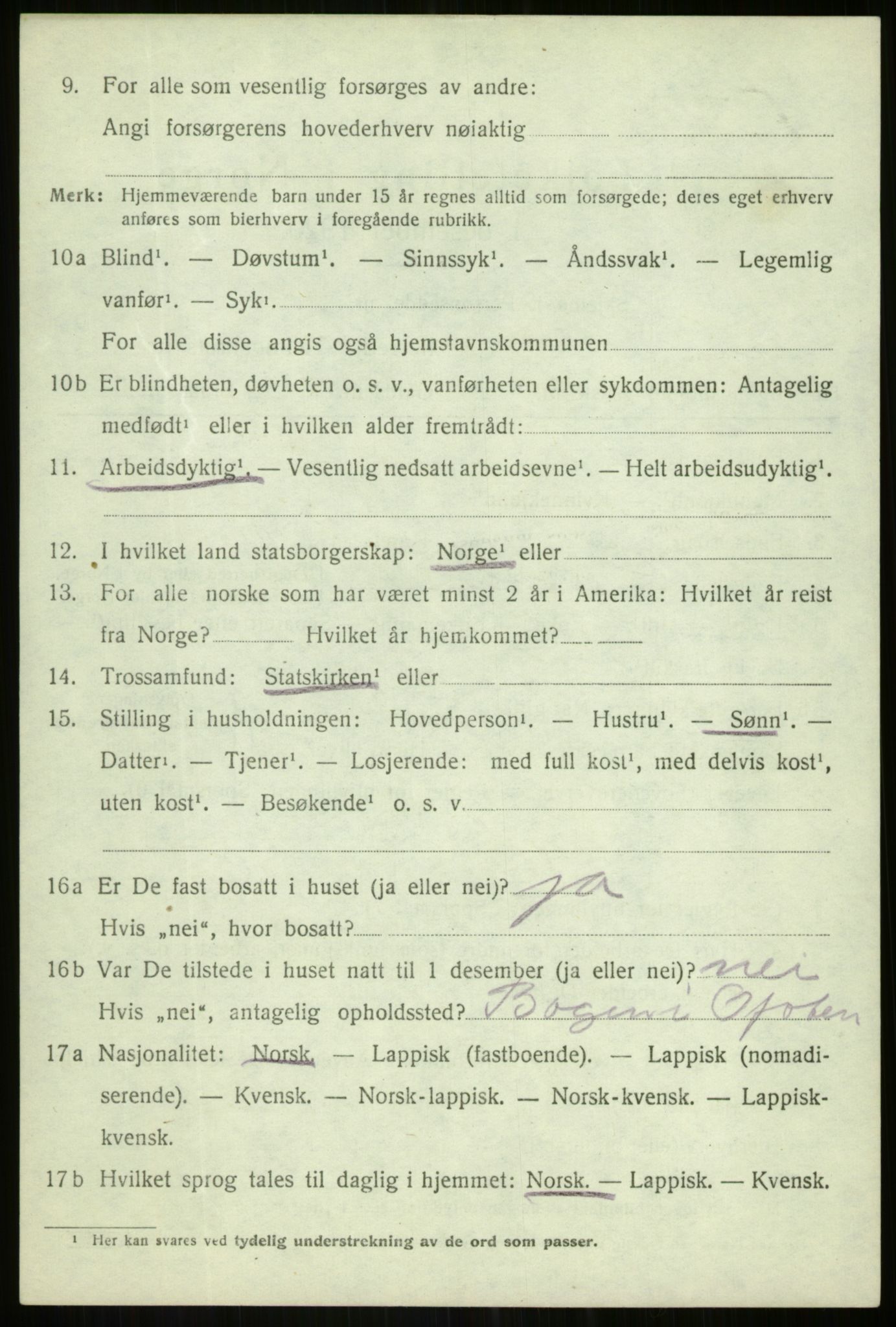 SATØ, 1920 census for Lenvik, 1920, p. 4243