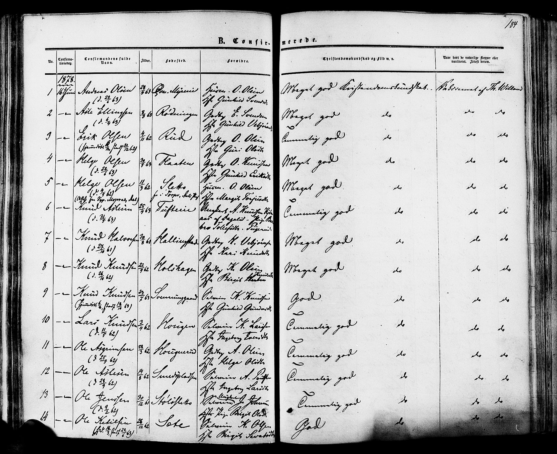 Hol kirkebøker, SAKO/A-227/F/Fa/L0002: Parish register (official) no. I 2, 1870-1886, p. 184