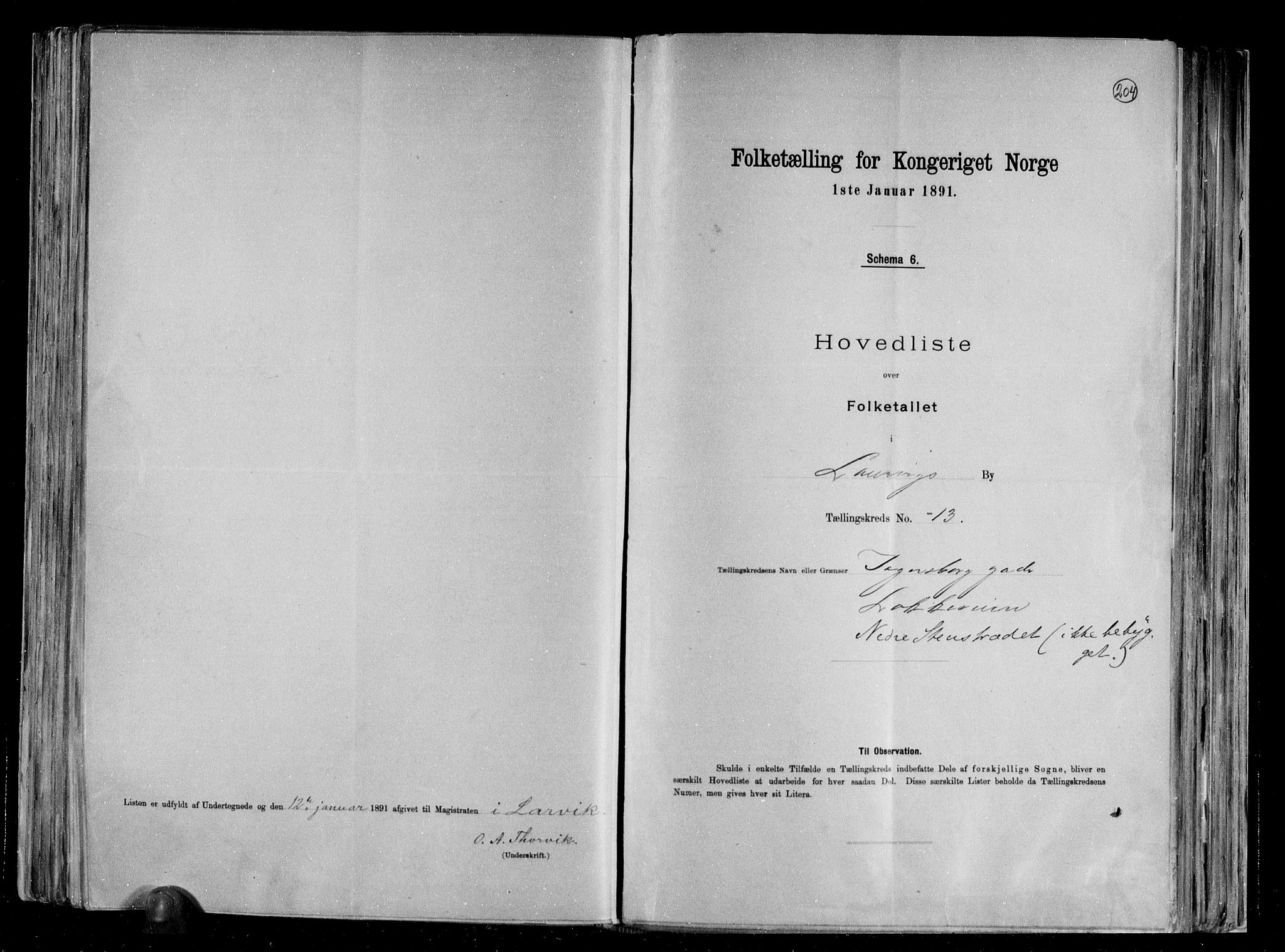 RA, 1891 census for 0707 Larvik, 1891, p. 30