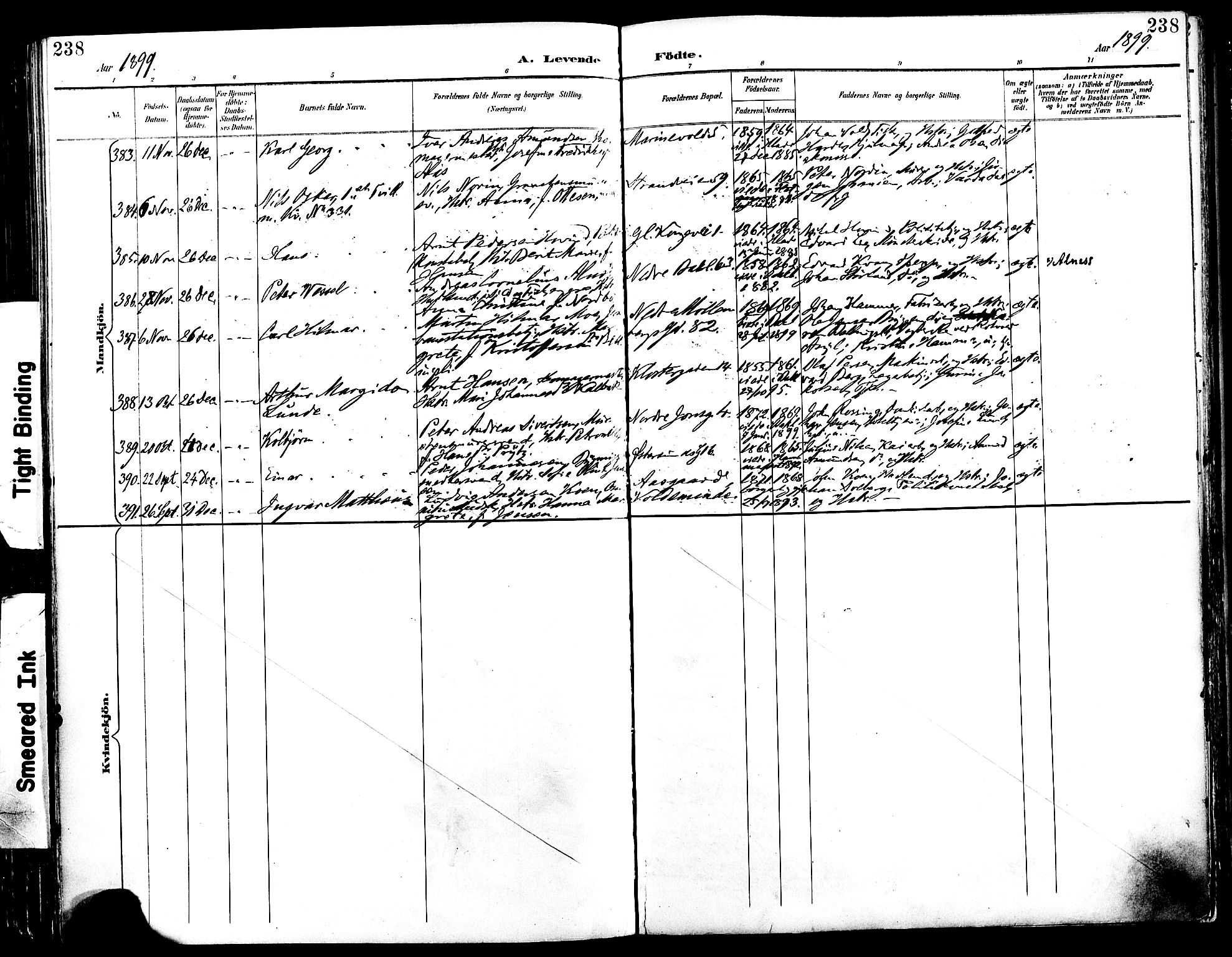 Ministerialprotokoller, klokkerbøker og fødselsregistre - Sør-Trøndelag, SAT/A-1456/604/L0197: Parish register (official) no. 604A18, 1893-1900, p. 238