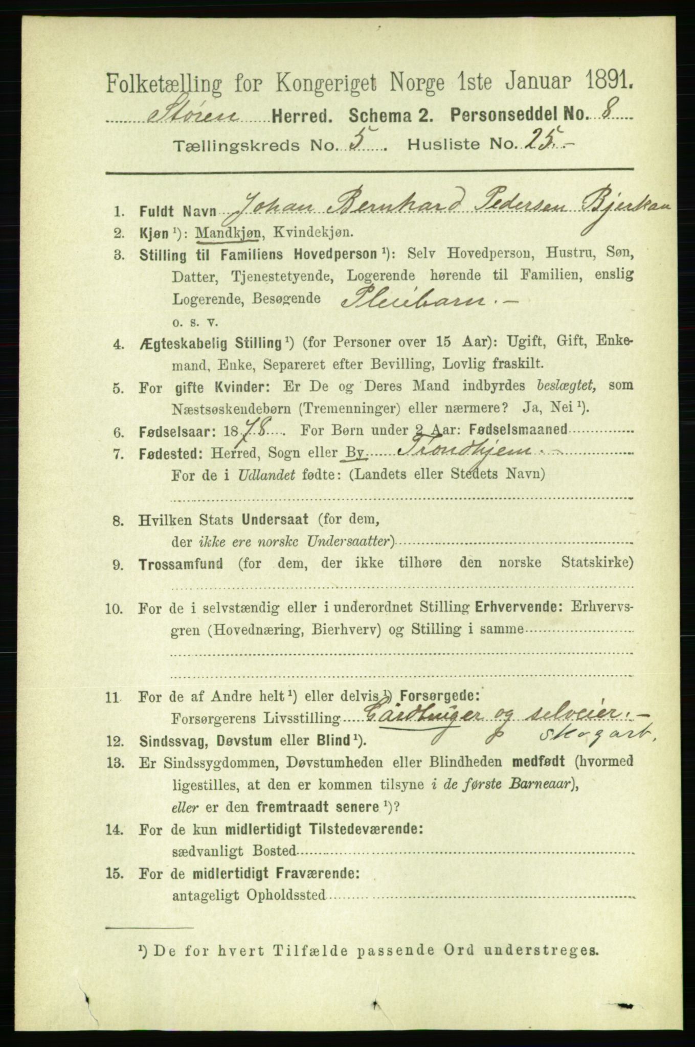 RA, 1891 census for 1648 Støren, 1891, p. 2080