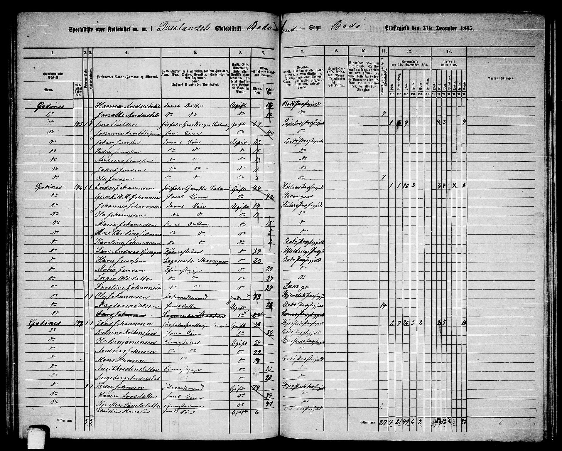 RA, 1865 census for Bodø/Bodø, 1865, p. 84