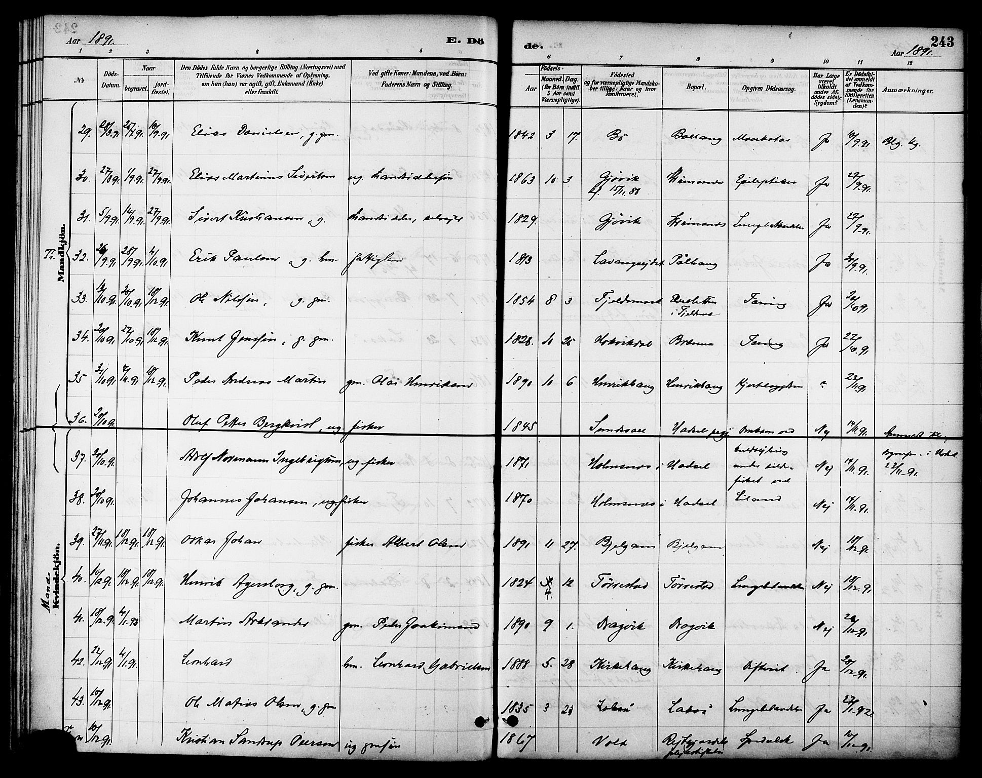 Ministerialprotokoller, klokkerbøker og fødselsregistre - Nordland, AV/SAT-A-1459/863/L0898: Parish register (official) no. 863A10, 1886-1897, p. 243