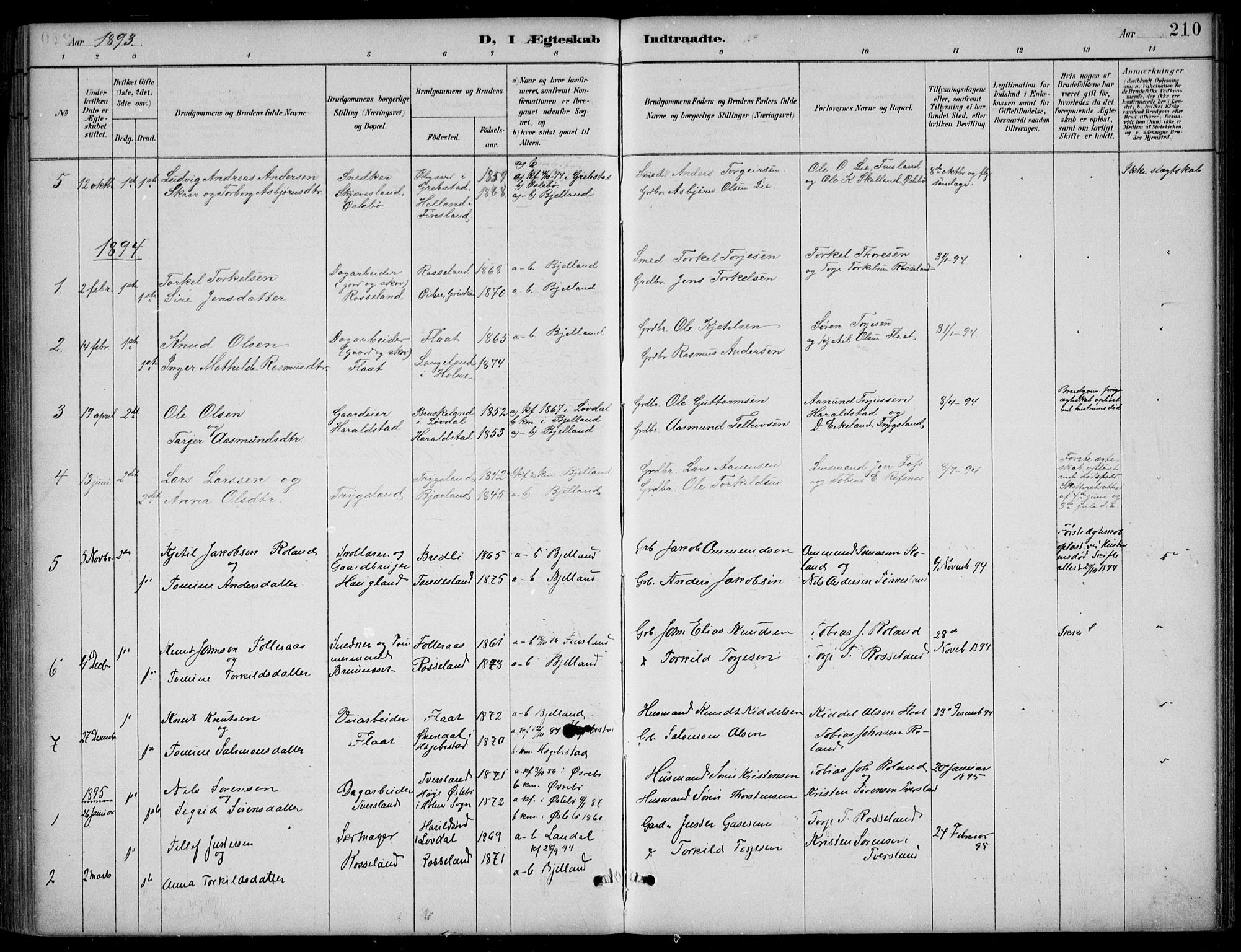 Bjelland sokneprestkontor, SAK/1111-0005/F/Fb/Fba/L0005: Parish register (copy) no. B 5, 1887-1923, p. 210