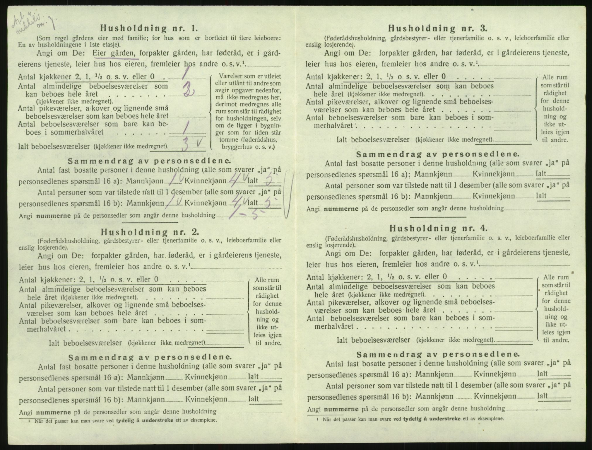 SAK, 1920 census for Hornnes, 1920, p. 148
