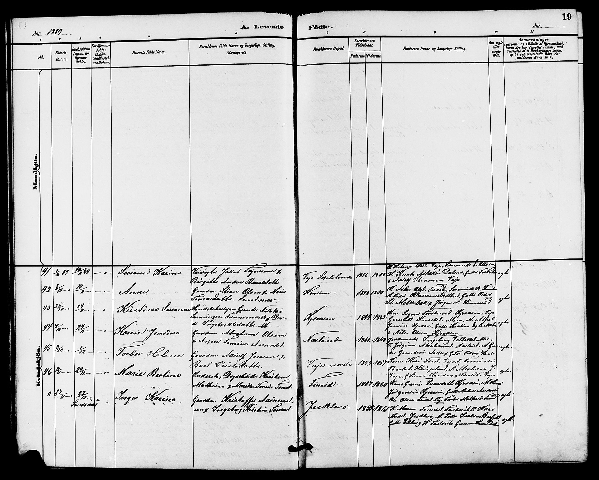 Drangedal kirkebøker, SAKO/A-258/G/Ga/L0003: Parish register (copy) no. I 3, 1887-1906, p. 19