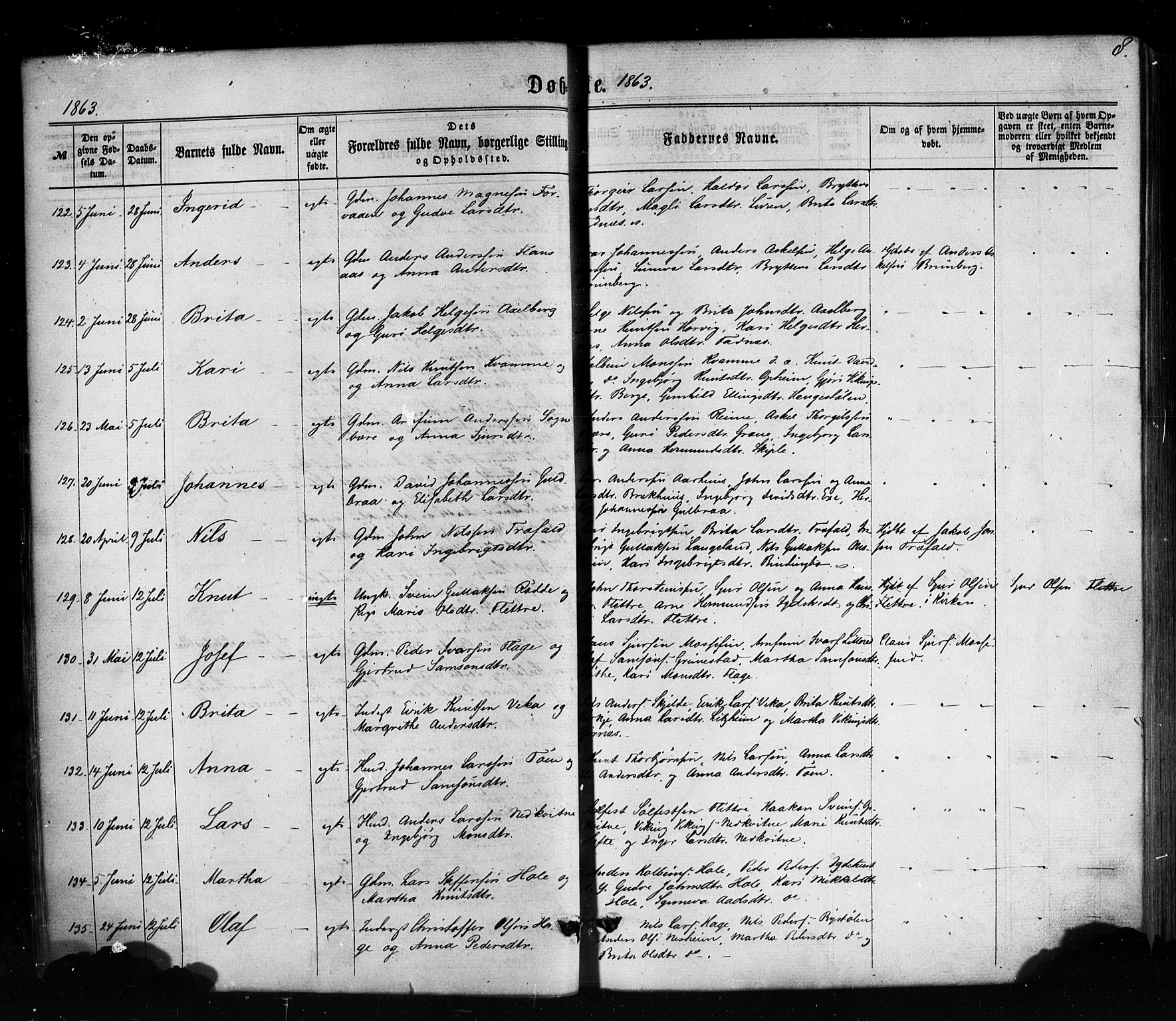 Voss sokneprestembete, AV/SAB-A-79001/H/Haa: Parish register (official) no. A 17, 1863-1886, p. 8