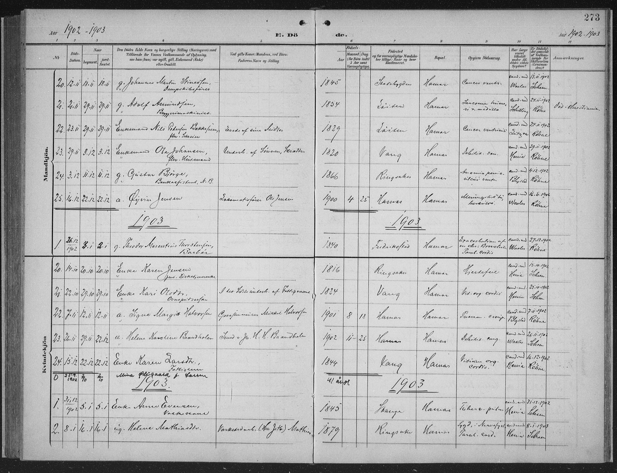 Hamar prestekontor, AV/SAH-DOMPH-002/H/Ha/Haa/L0001: Parish register (official) no. 1, 1900-1914, p. 273