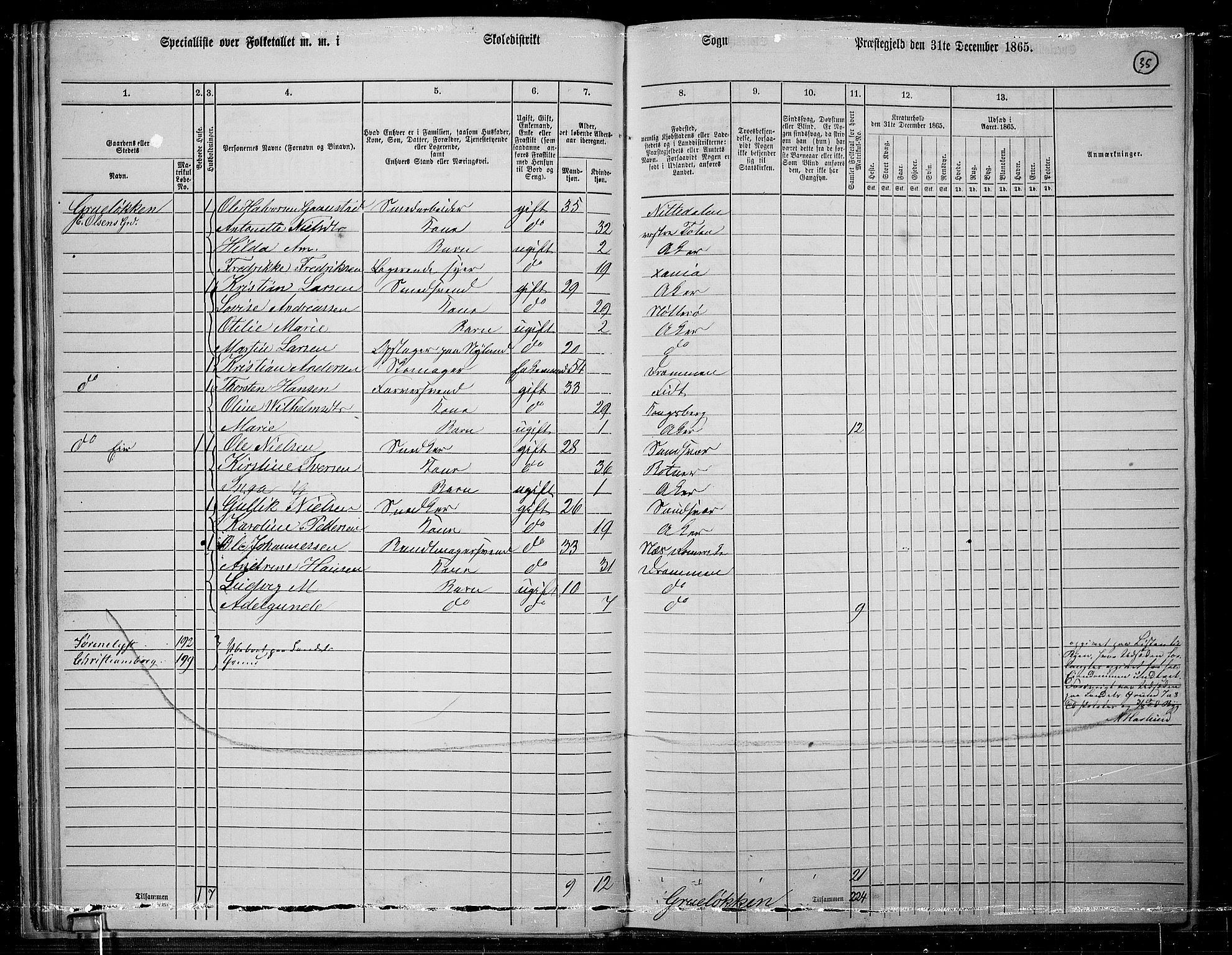 RA, 1865 census for Østre Aker, 1865, p. 259