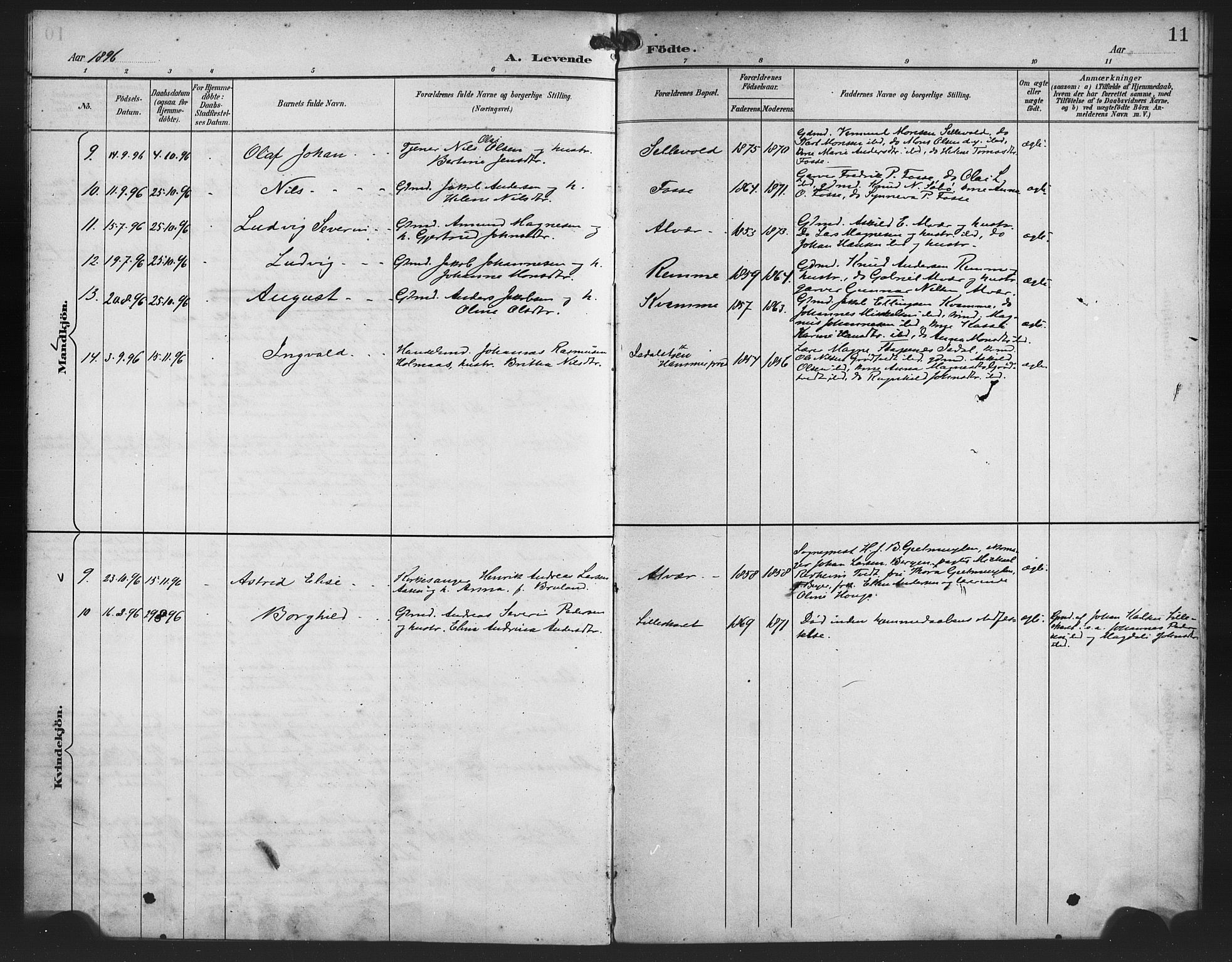 Alversund Sokneprestembete, SAB/A-73901/H/Ha/Haa/Haaa/L0002: Parish register (official) no. A 2, 1893-1896, p. 11