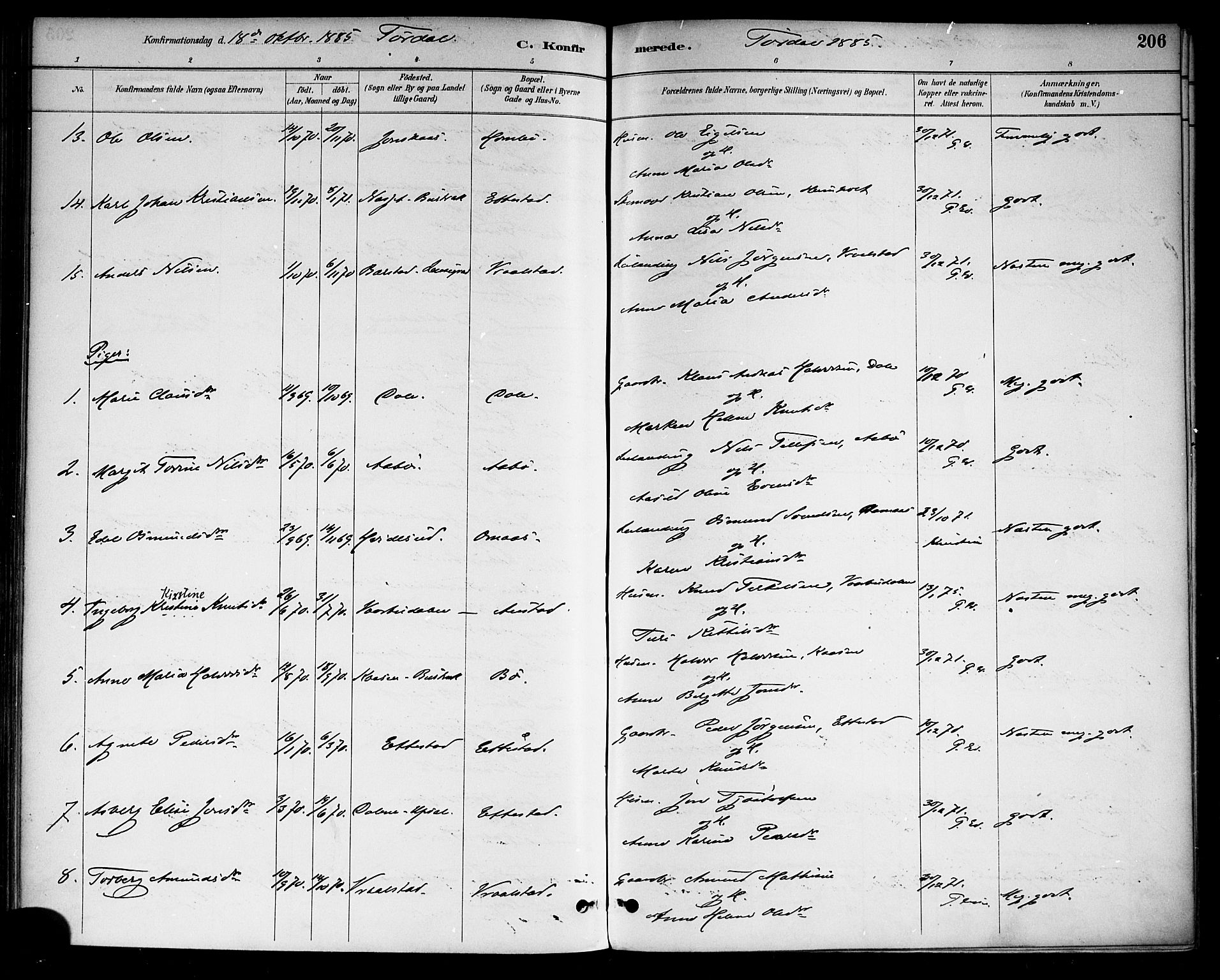 Drangedal kirkebøker, SAKO/A-258/F/Fa/L0010: Parish register (official) no. 10 /2, 1885-1894, p. 206