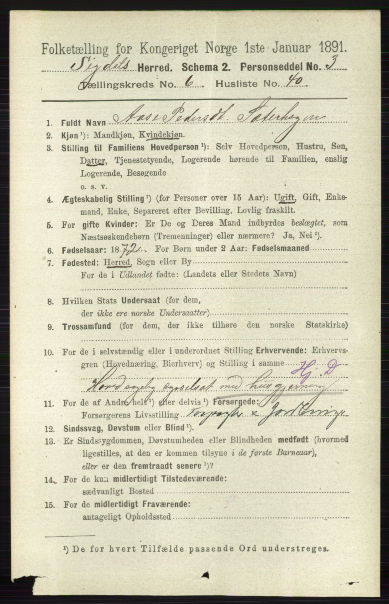 RA, 1891 census for 0621 Sigdal, 1891, p. 2645