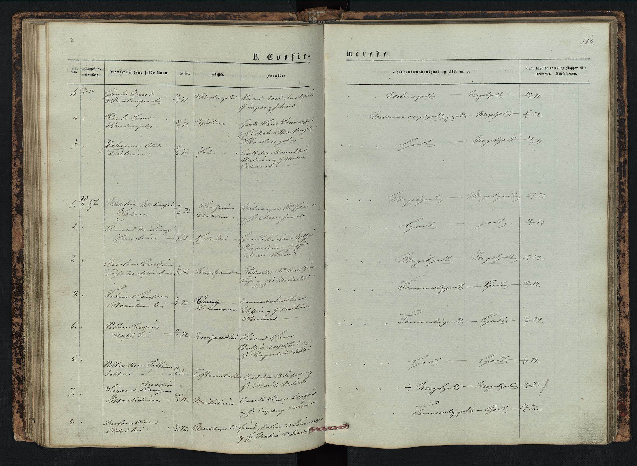 Vestre Gausdal prestekontor, SAH/PREST-094/H/Ha/Hab/L0002: Parish register (copy) no. 2, 1874-1897, p. 110