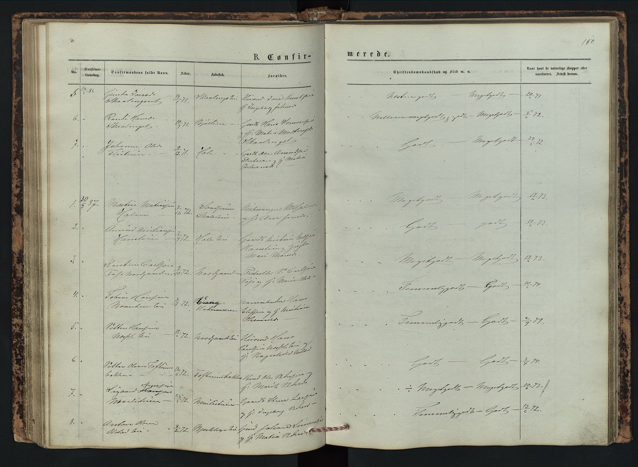 Vestre Gausdal prestekontor, AV/SAH-PREST-094/H/Ha/Hab/L0002: Parish register (copy) no. 2, 1874-1897, p. 110