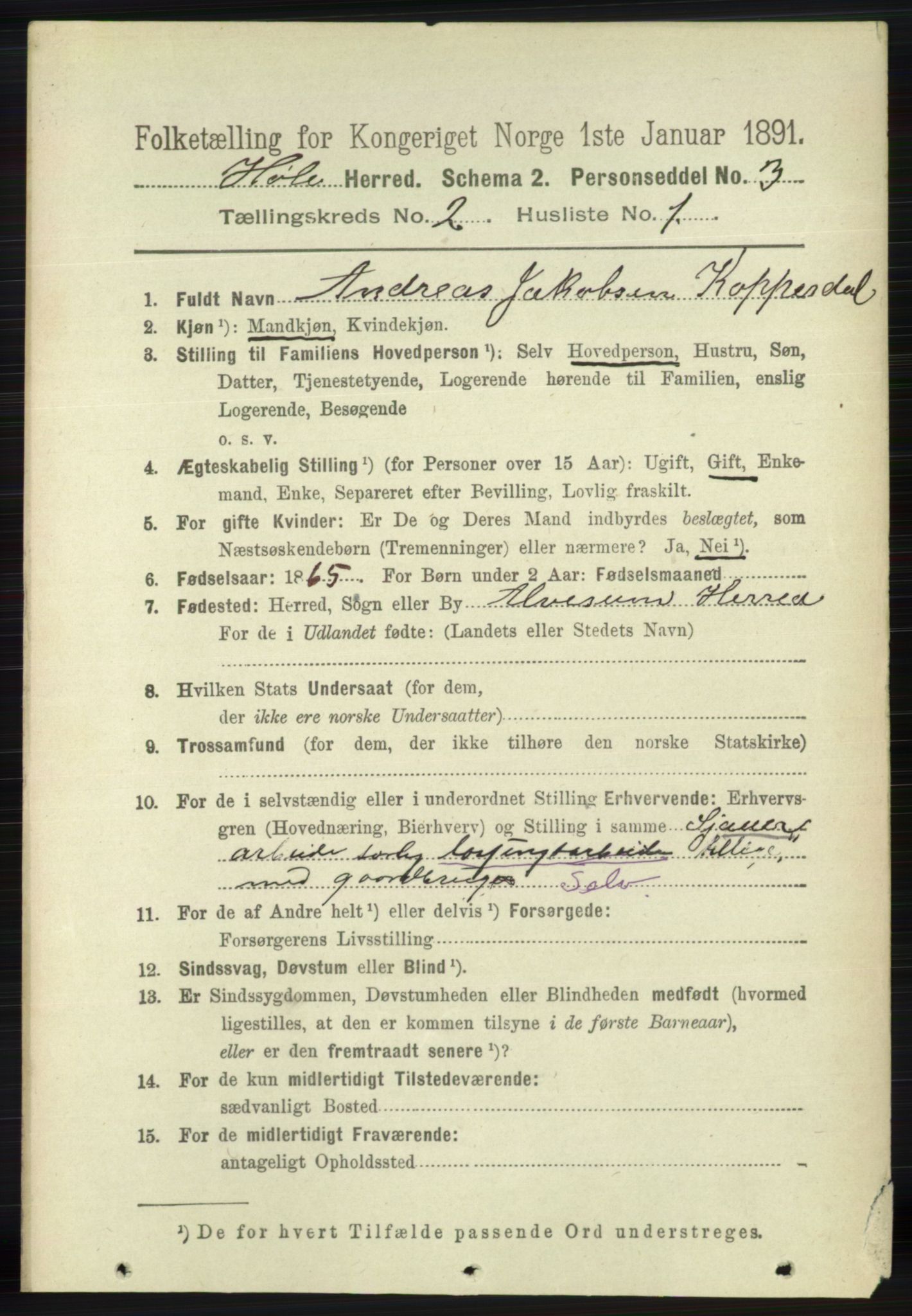 RA, 1891 census for 1128 Høle, 1891, p. 221