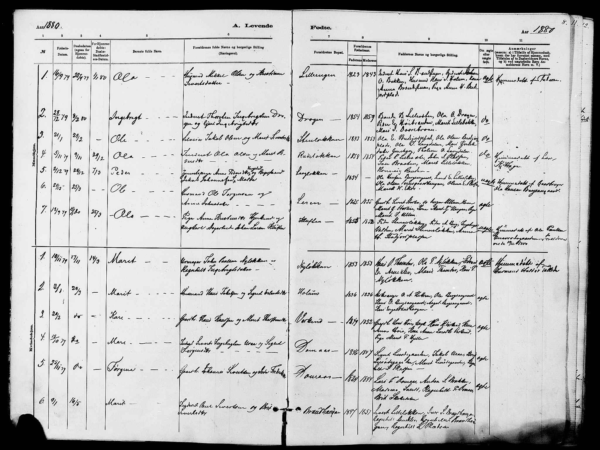 Dovre prestekontor, SAH/PREST-066/H/Ha/Haa/L0002: Parish register (official) no. 2, 1879-1890, p. 8