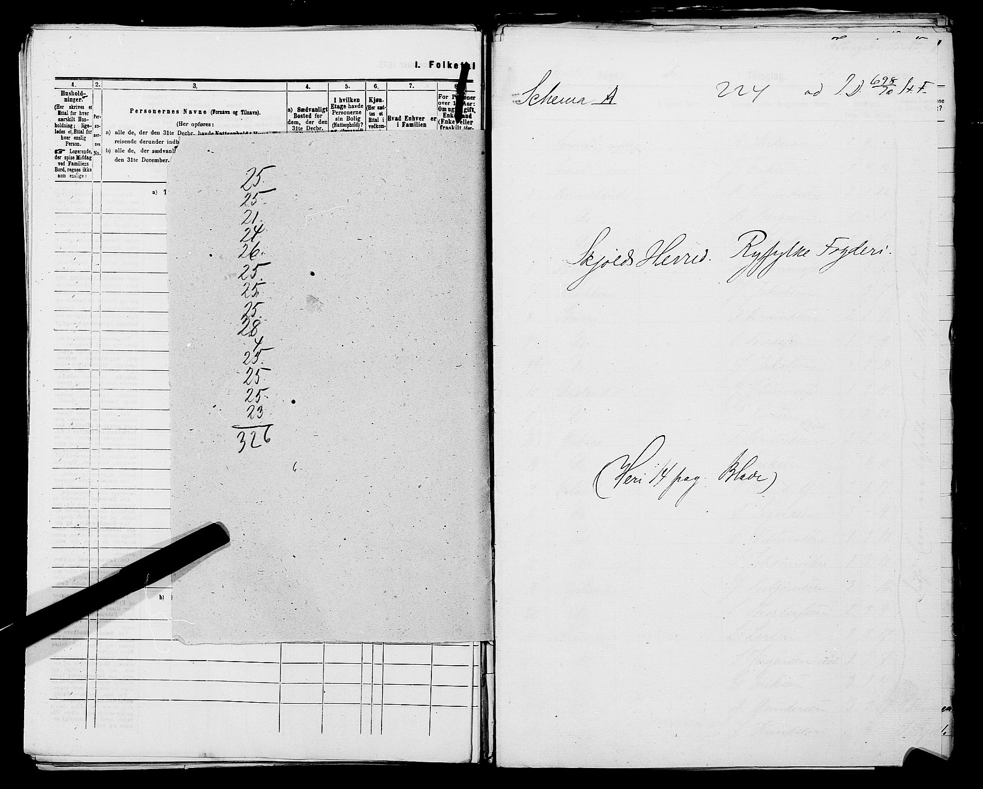 SAST, 1875 census for 1154P Skjold, 1875, p. 35