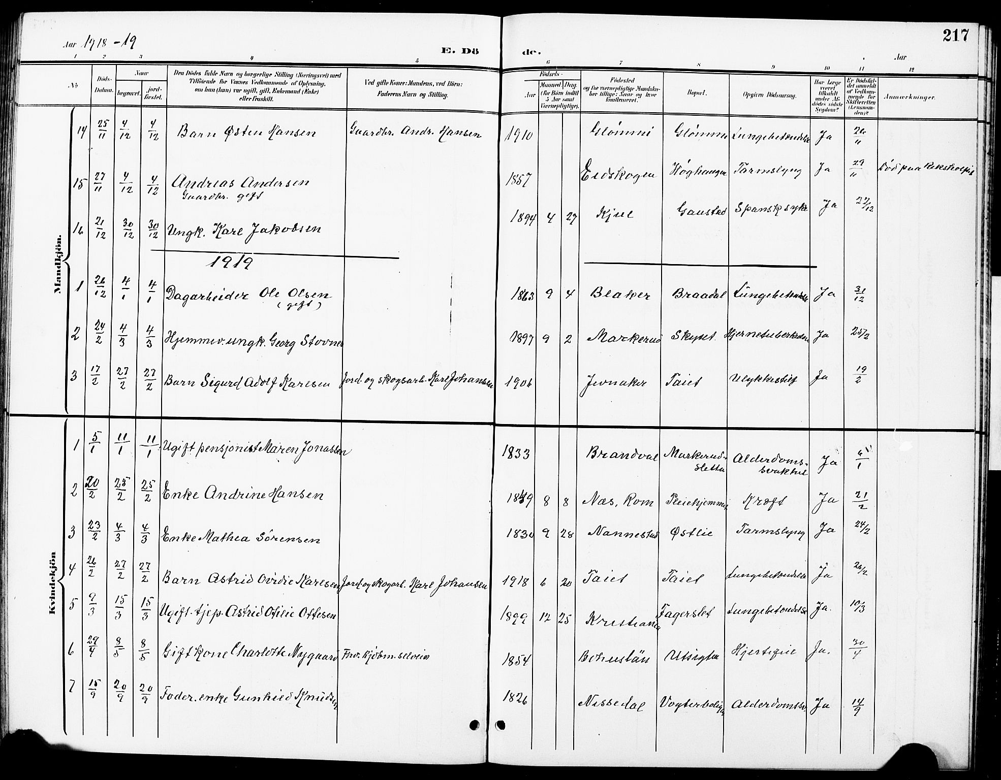 Nittedal prestekontor Kirkebøker, SAO/A-10365a/G/Ga/L0003: Parish register (copy) no. I 3, 1902-1929, p. 217