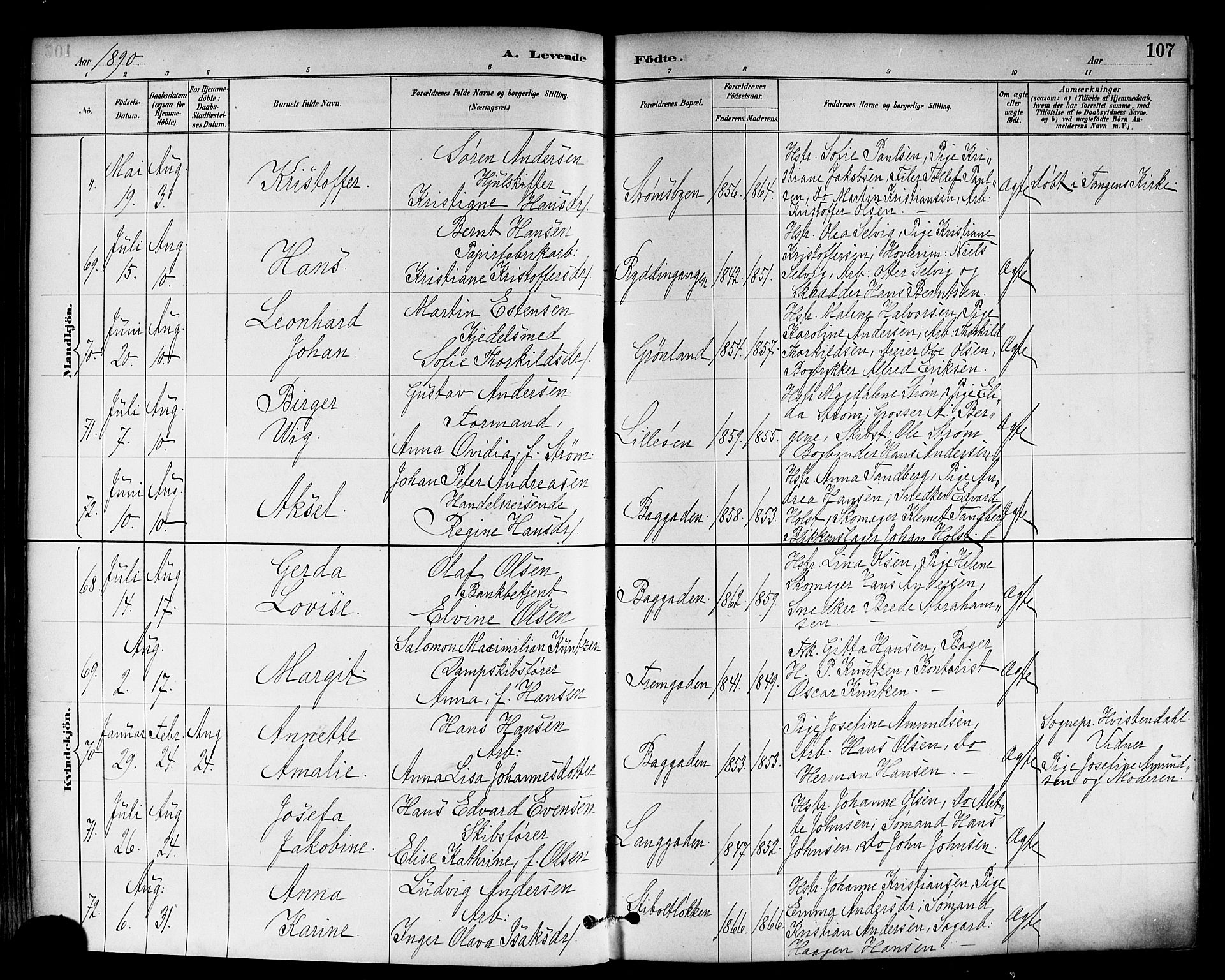 Strømsø kirkebøker, SAKO/A-246/F/Fa/L0023: Parish register (official) no. I 23, 1885-1894, p. 107