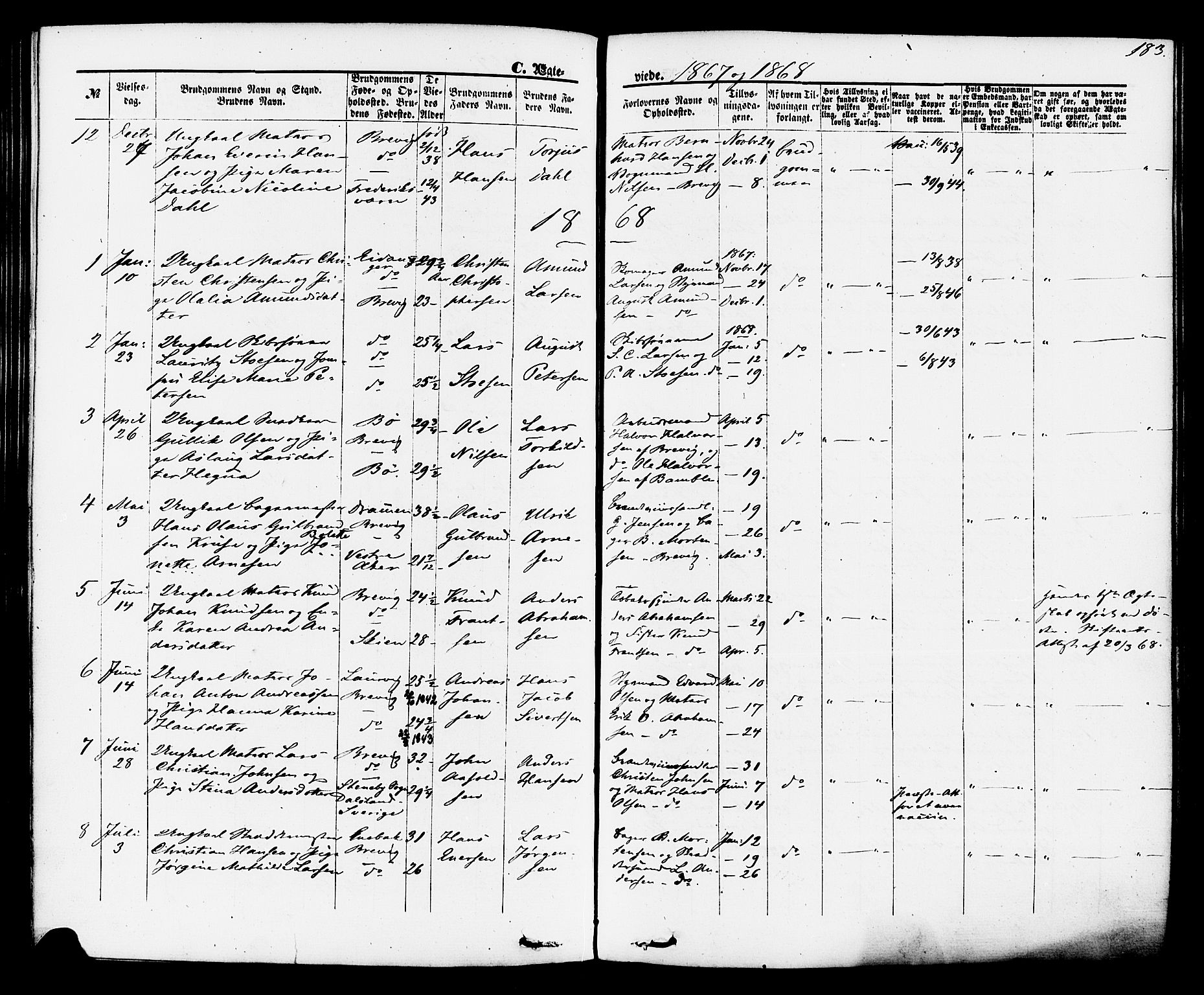 Brevik kirkebøker, SAKO/A-255/F/Fa/L0006: Parish register (official) no. 6, 1866-1881, p. 183