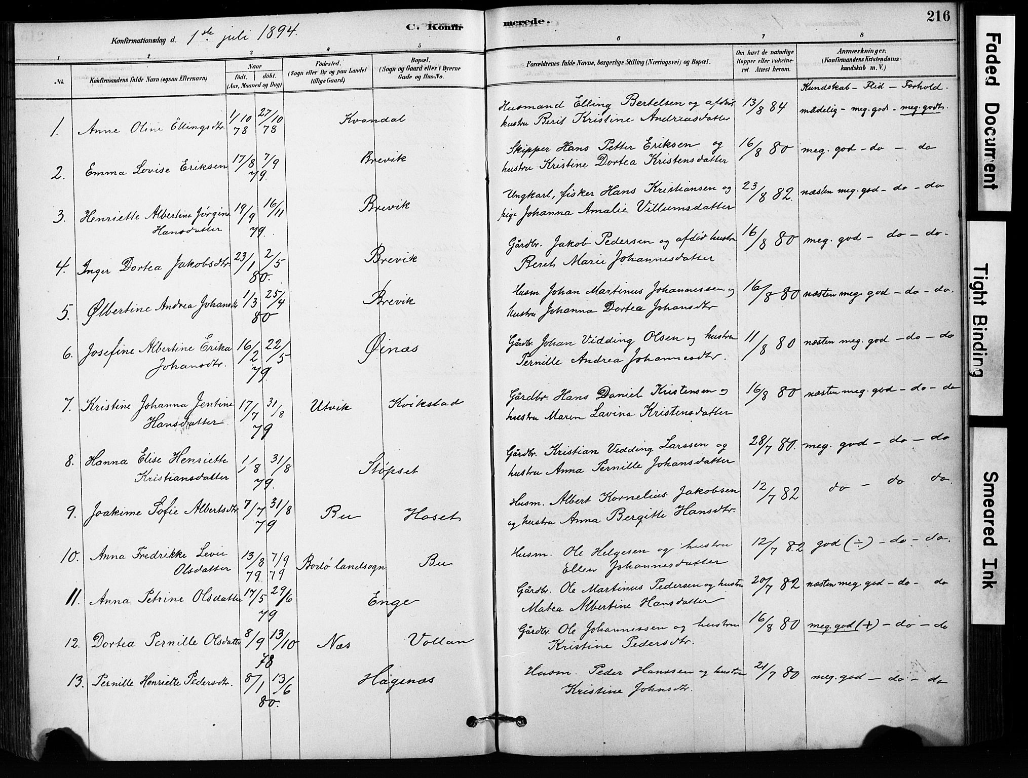 Ministerialprotokoller, klokkerbøker og fødselsregistre - Nordland, AV/SAT-A-1459/852/L0754: Parish register (copy) no. 852C05, 1878-1894, p. 216