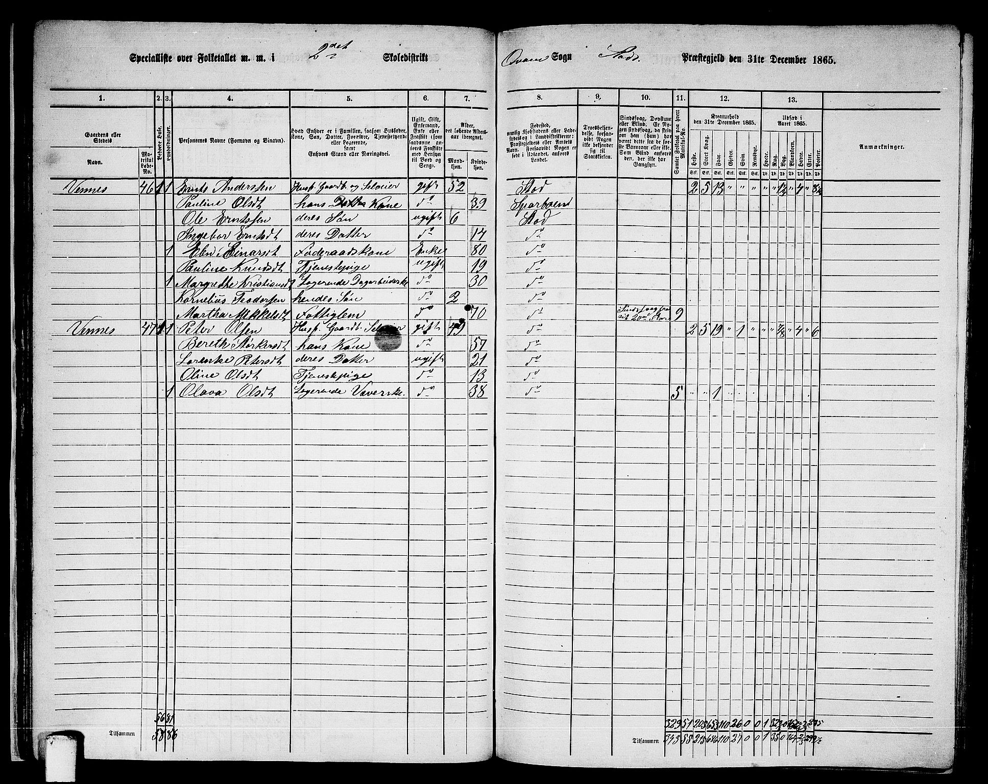 RA, 1865 census for Stod, 1865, p. 36