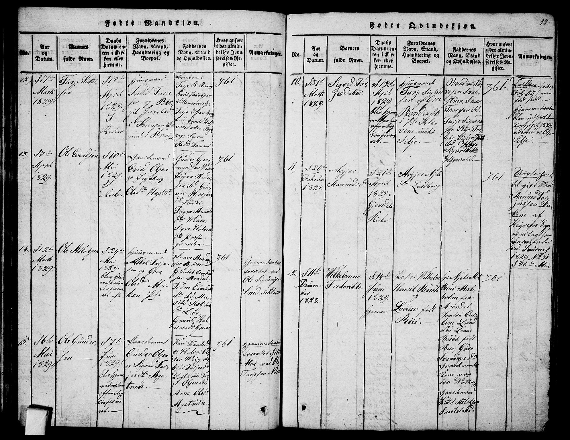 Fyresdal kirkebøker, SAKO/A-263/G/Ga/L0001: Parish register (copy) no. I 1, 1816-1840, p. 55