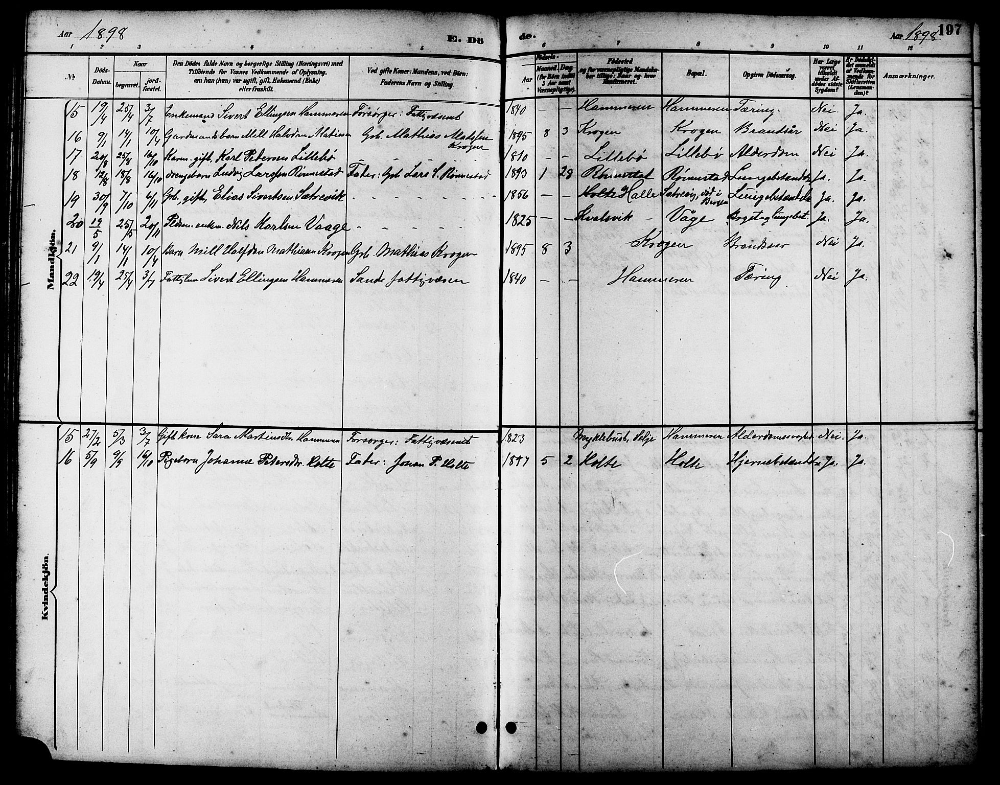 Ministerialprotokoller, klokkerbøker og fødselsregistre - Møre og Romsdal, AV/SAT-A-1454/503/L0049: Parish register (copy) no. 503C04, 1894-1915, p. 197