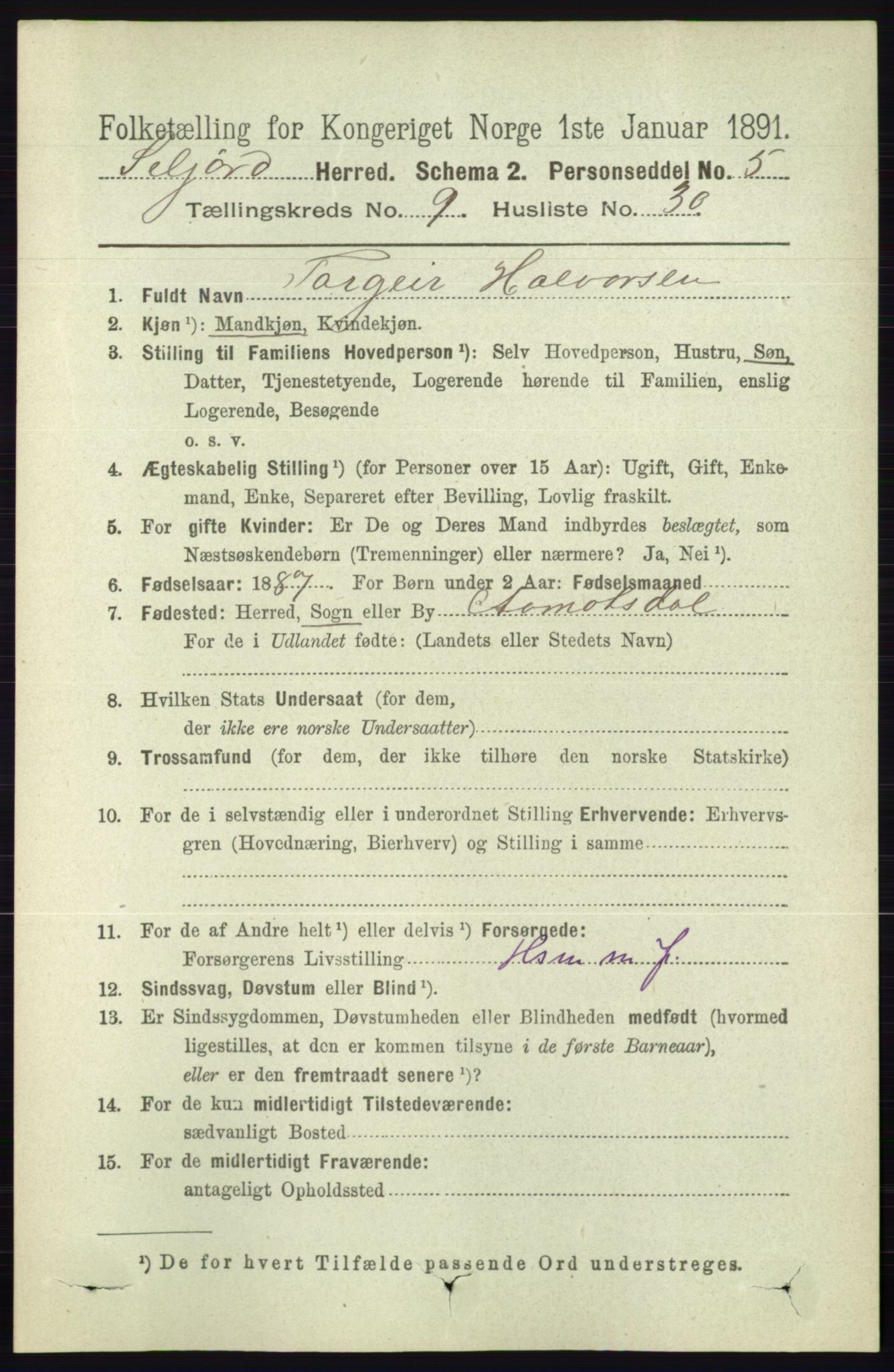 RA, 1891 census for 0828 Seljord, 1891, p. 3334