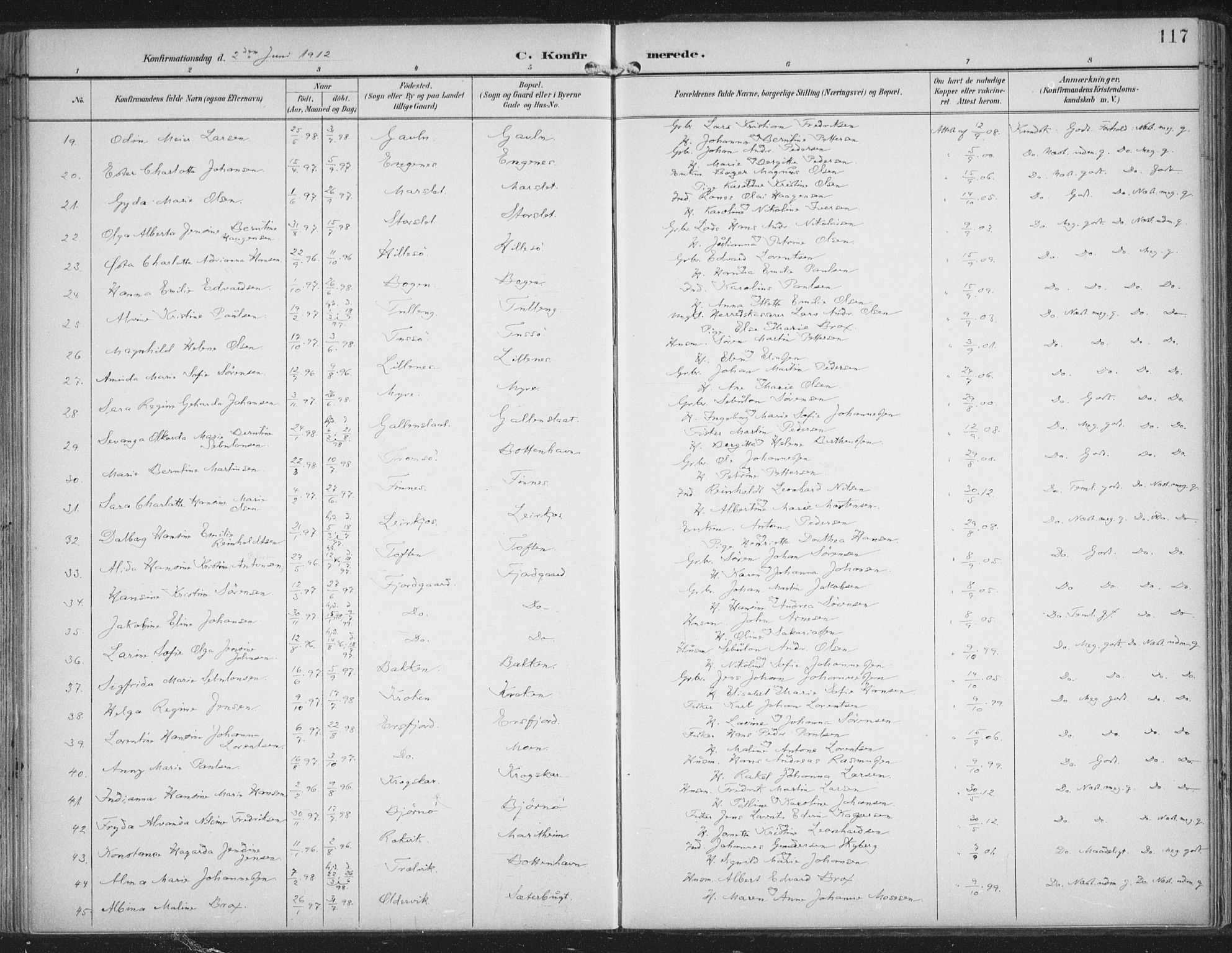 Lenvik sokneprestembete, AV/SATØ-S-1310/H/Ha/Haa/L0015kirke: Parish register (official) no. 15, 1896-1915, p. 117