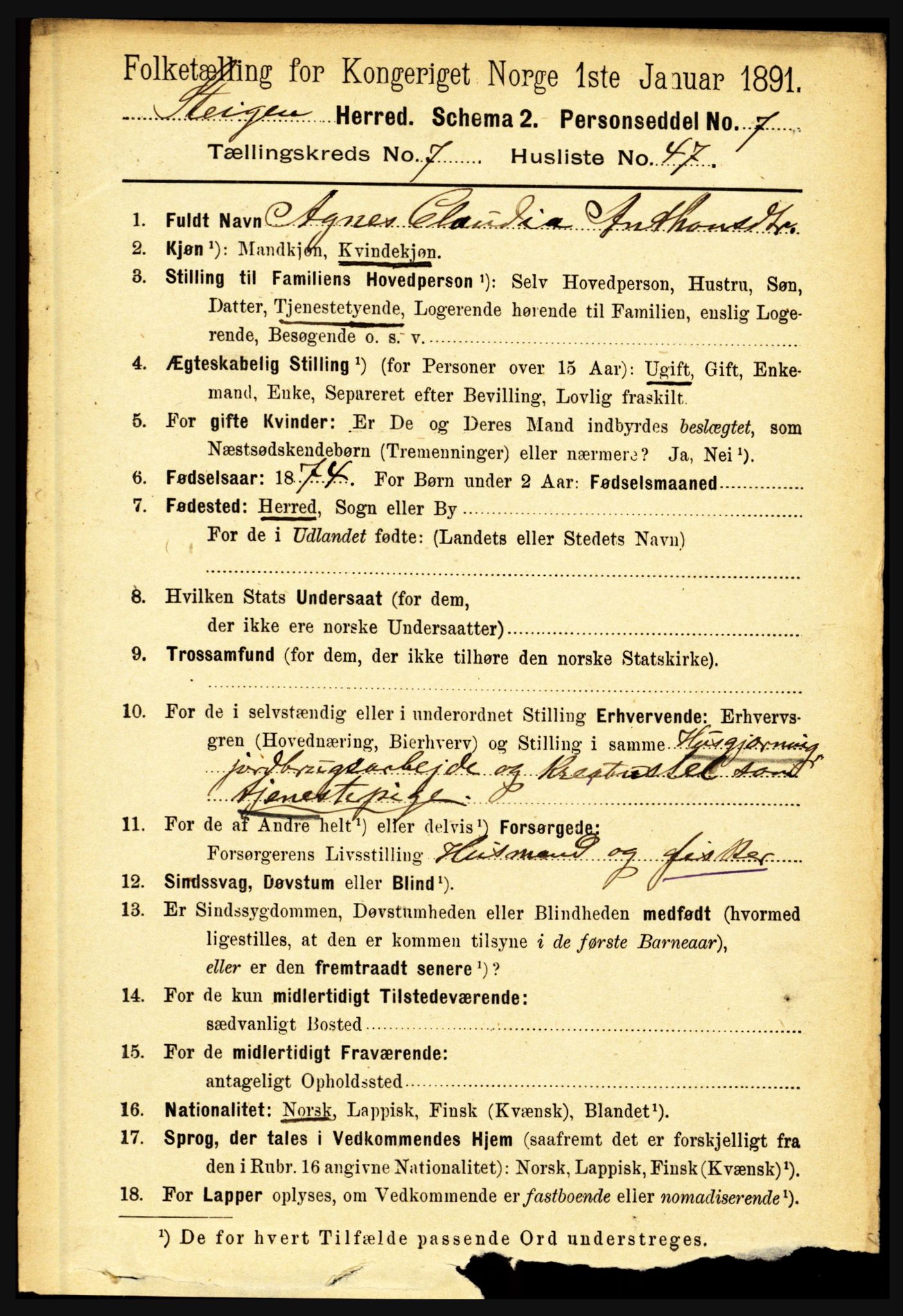 RA, 1891 census for 1848 Steigen, 1891, p. 2533