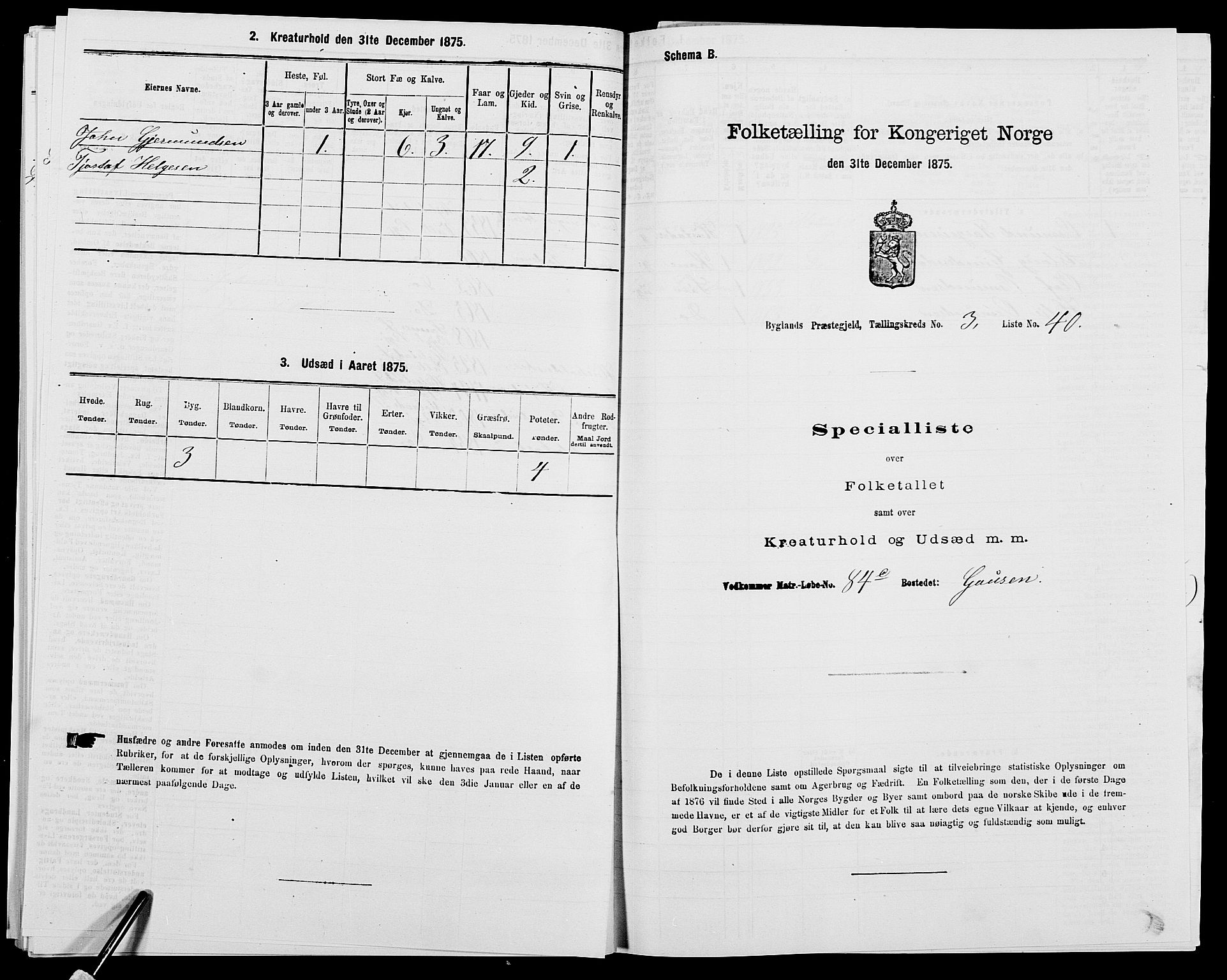 SAK, 1875 census for 0938P Bygland, 1875, p. 311