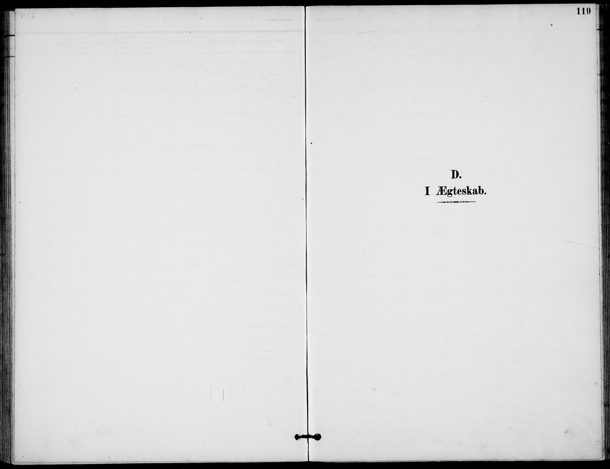 Lunder kirkebøker, AV/SAKO-A-629/F/Fa/L0001: Parish register (official) no. I 1, 1885-1912, p. 119