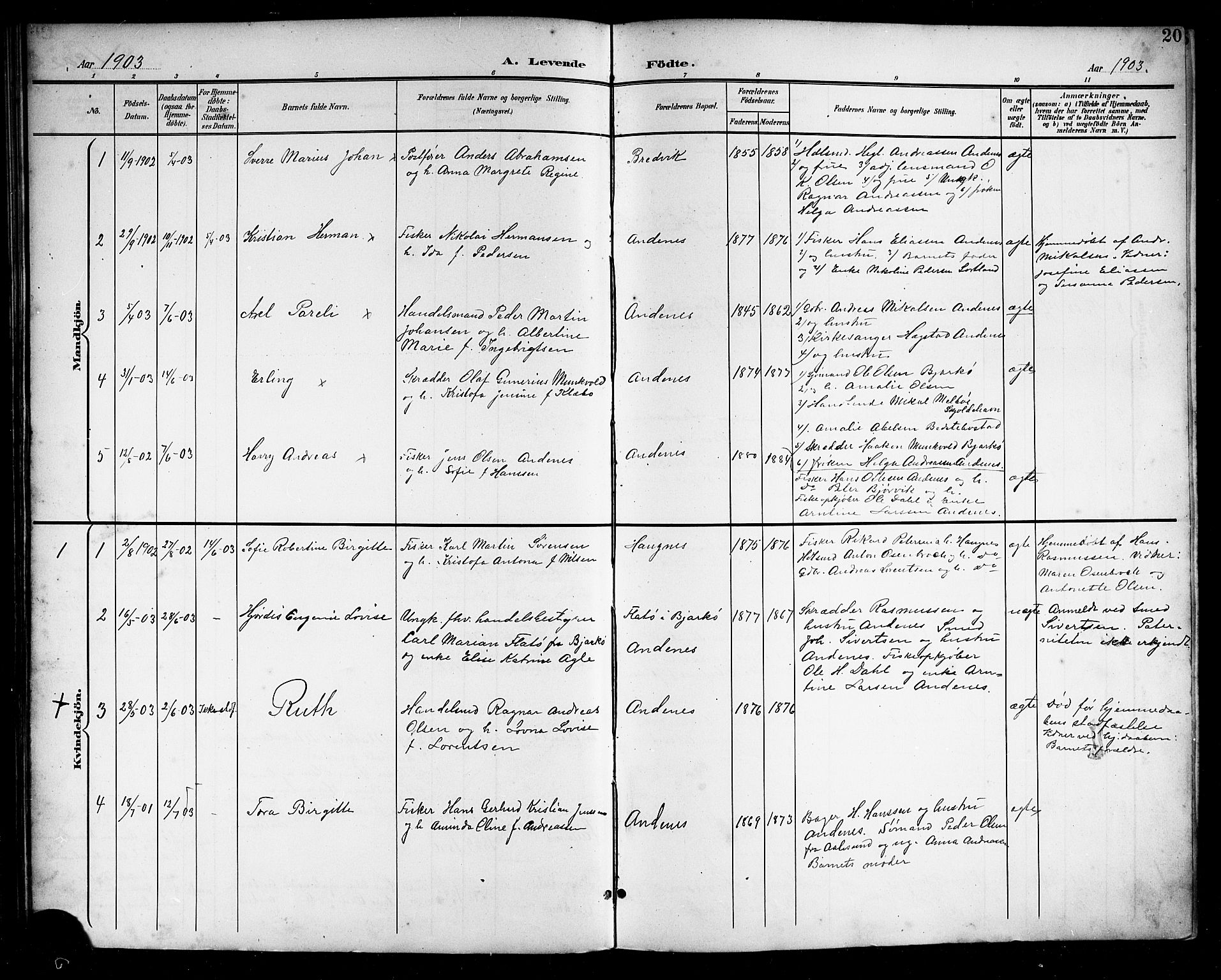 Ministerialprotokoller, klokkerbøker og fødselsregistre - Nordland, SAT/A-1459/899/L1449: Parish register (copy) no. 899C04, 1900-1918, p. 20