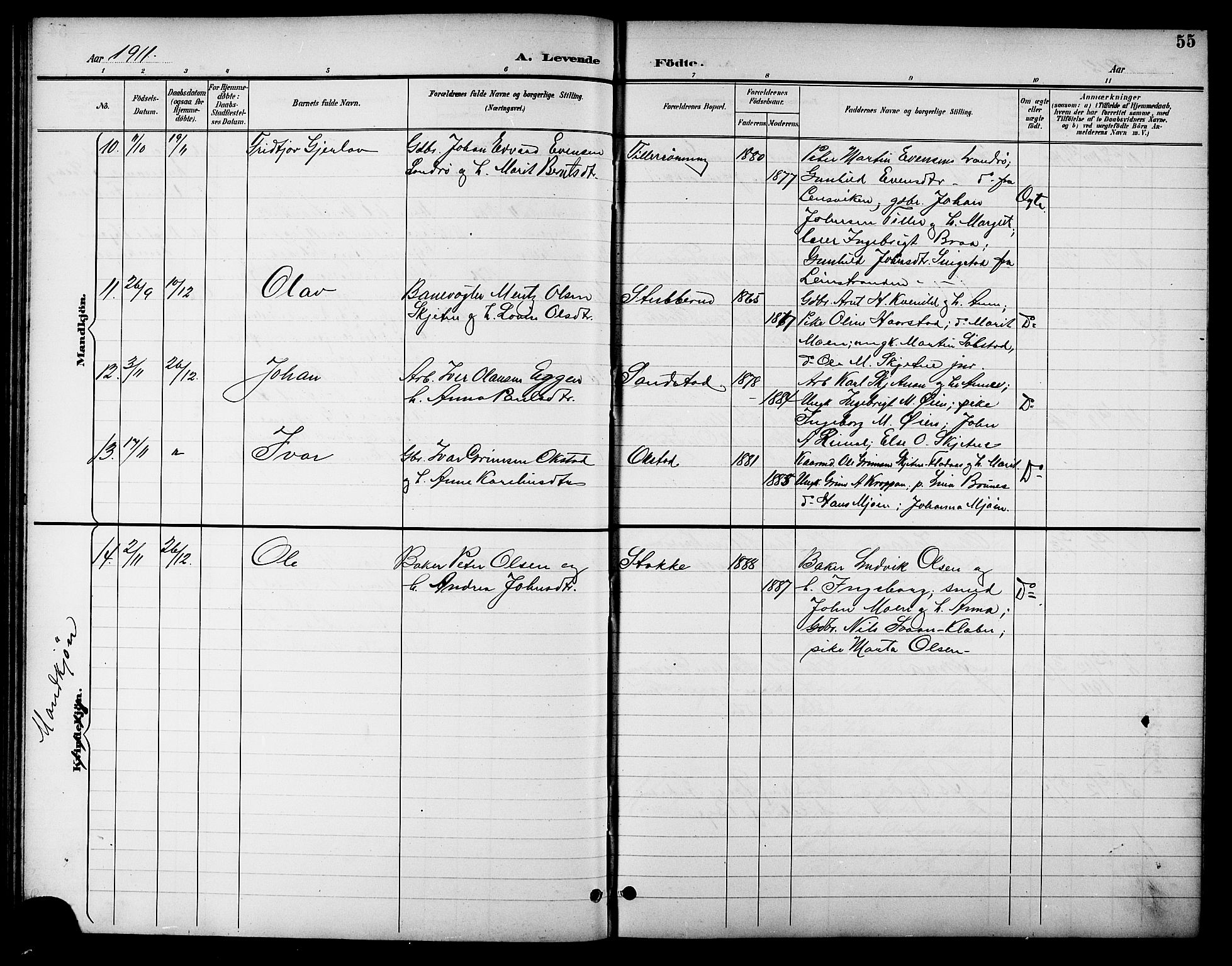 Ministerialprotokoller, klokkerbøker og fødselsregistre - Sør-Trøndelag, SAT/A-1456/621/L0460: Parish register (copy) no. 621C03, 1896-1914, p. 55